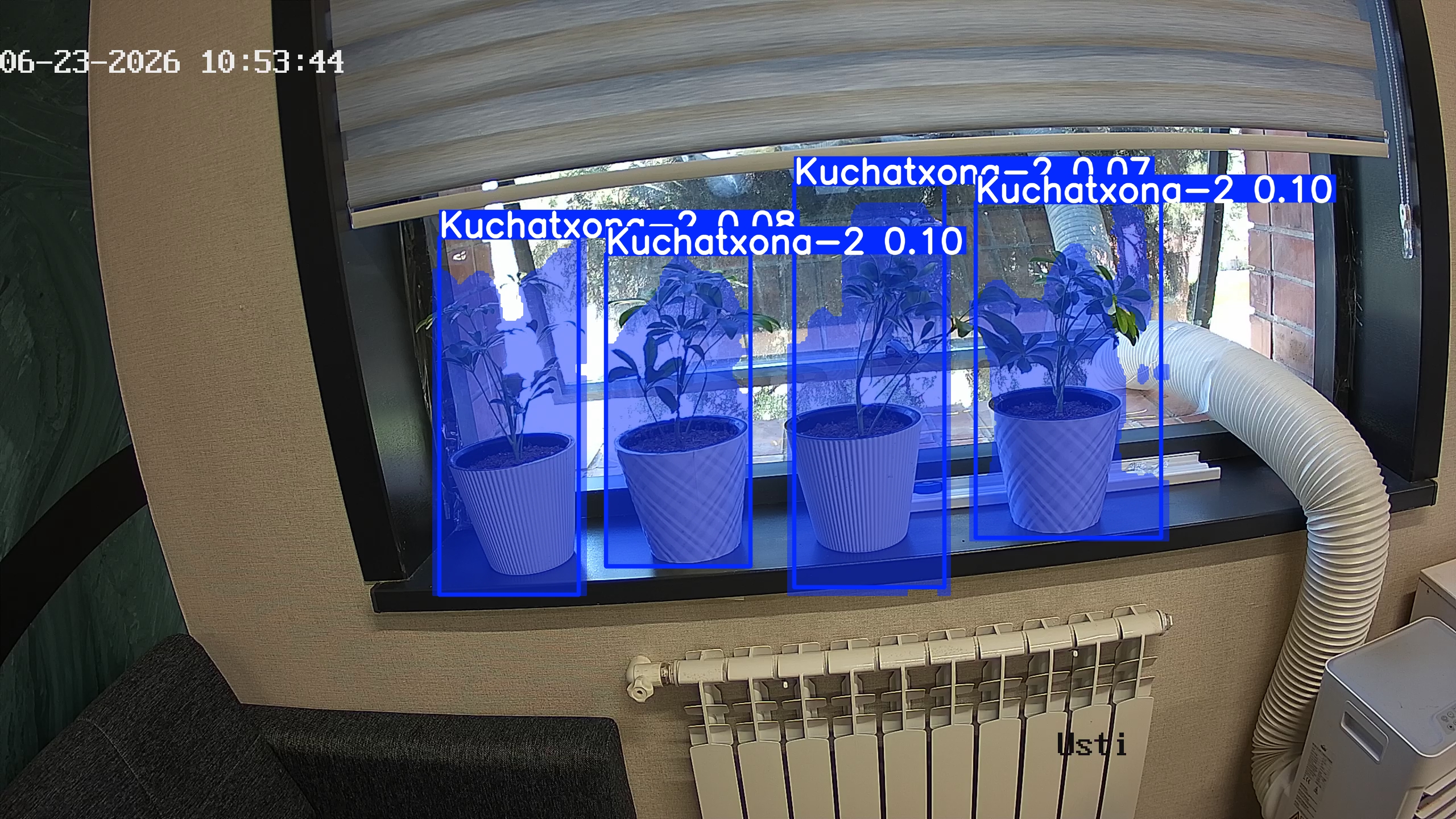 seedling_2026-06-23_10-53-59.jpg