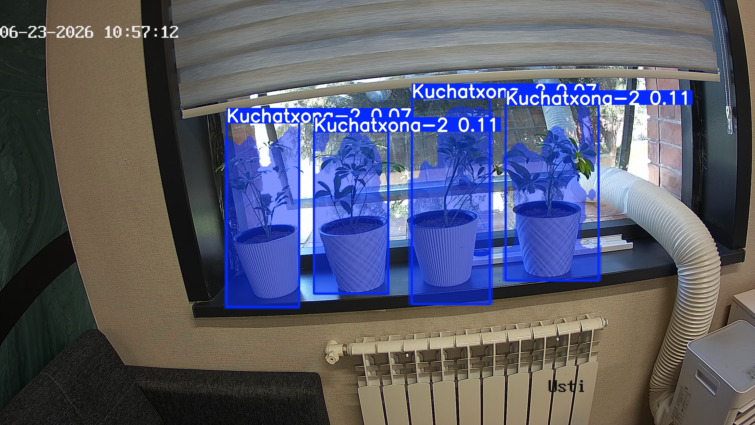 seedling_2026-06-23_10-57-27.jpg