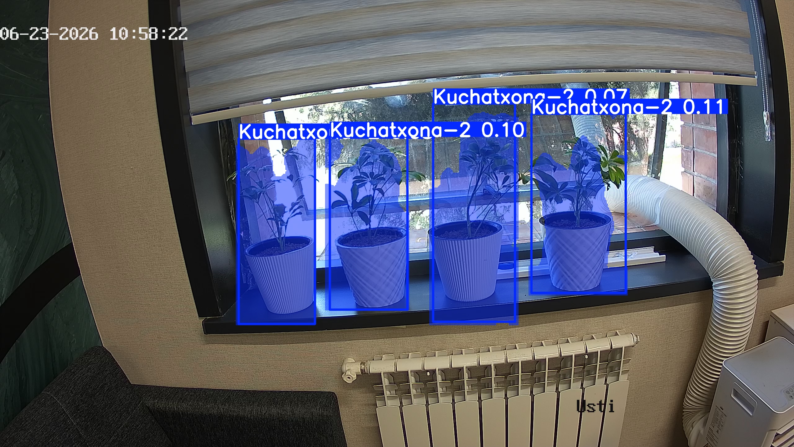 seedling_2026-06-23_10-58-38.jpg