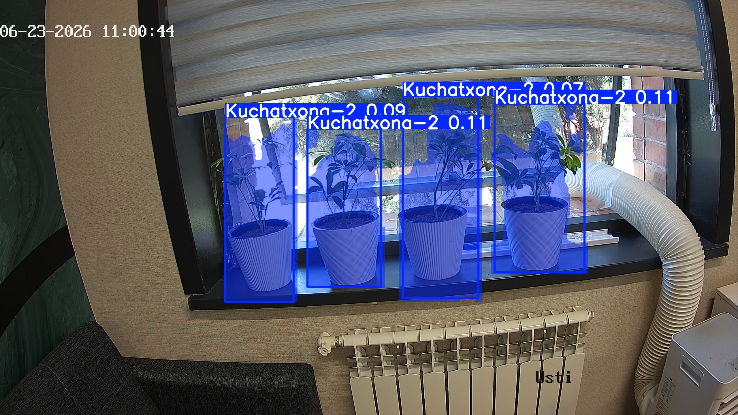 seedling_2026-06-23_11-01-00.jpg