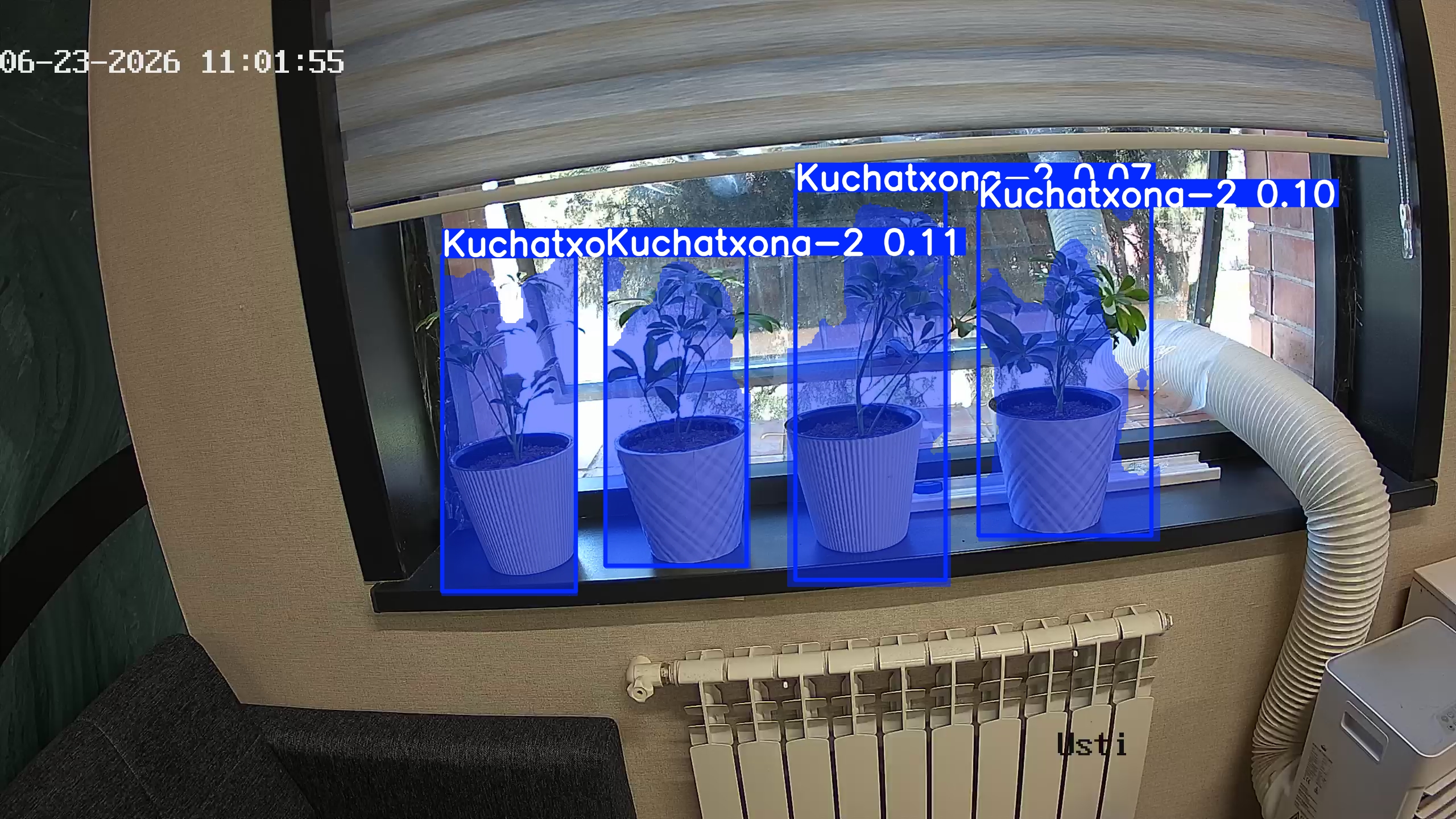 seedling_2026-06-23_11-02-10.jpg