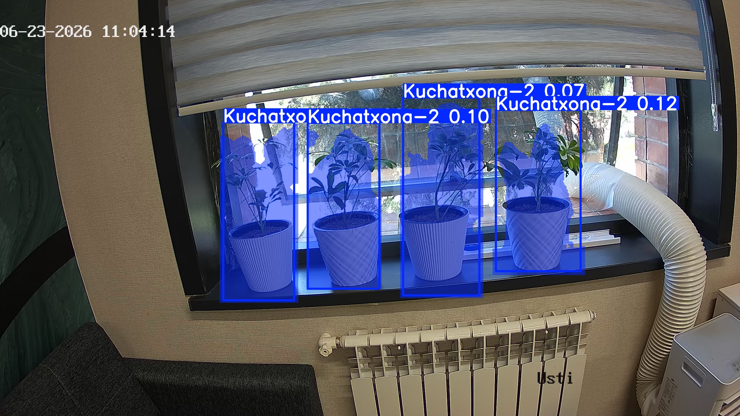 seedling_2026-06-23_11-04-29.jpg