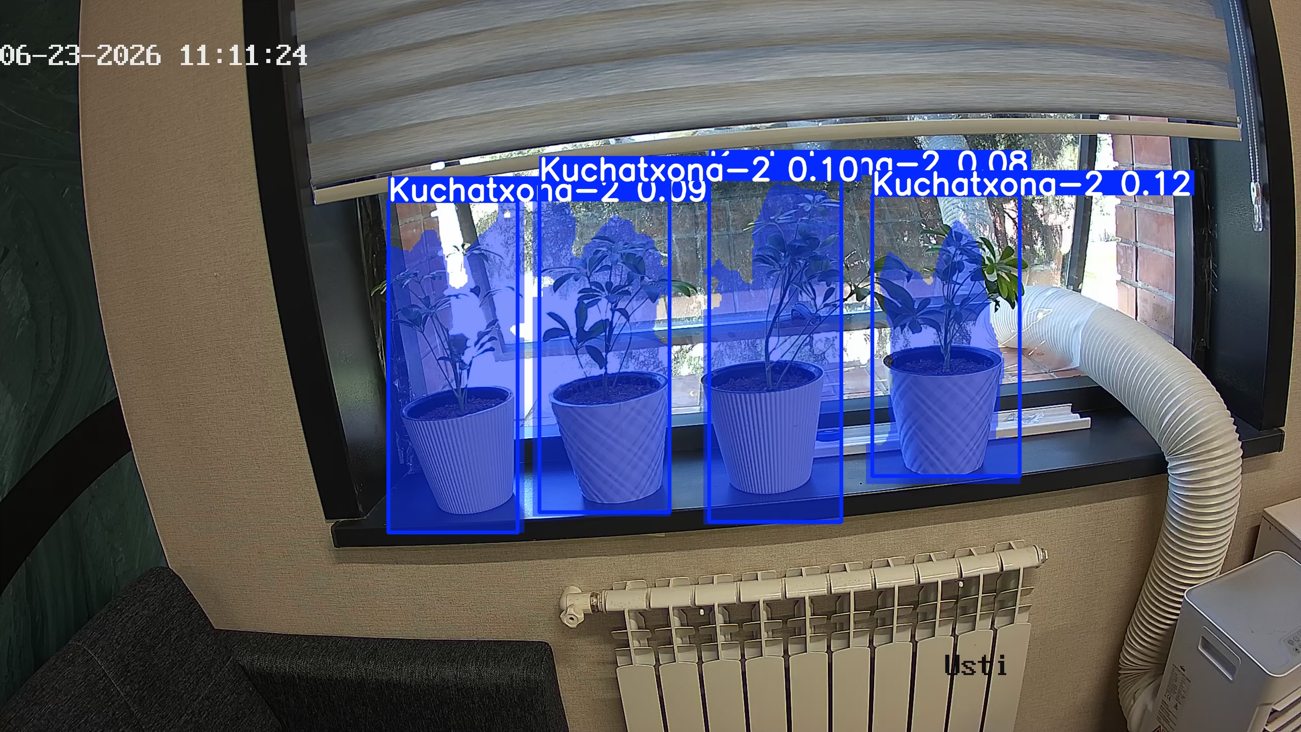 seedling_2026-06-23_11-11-40.jpg