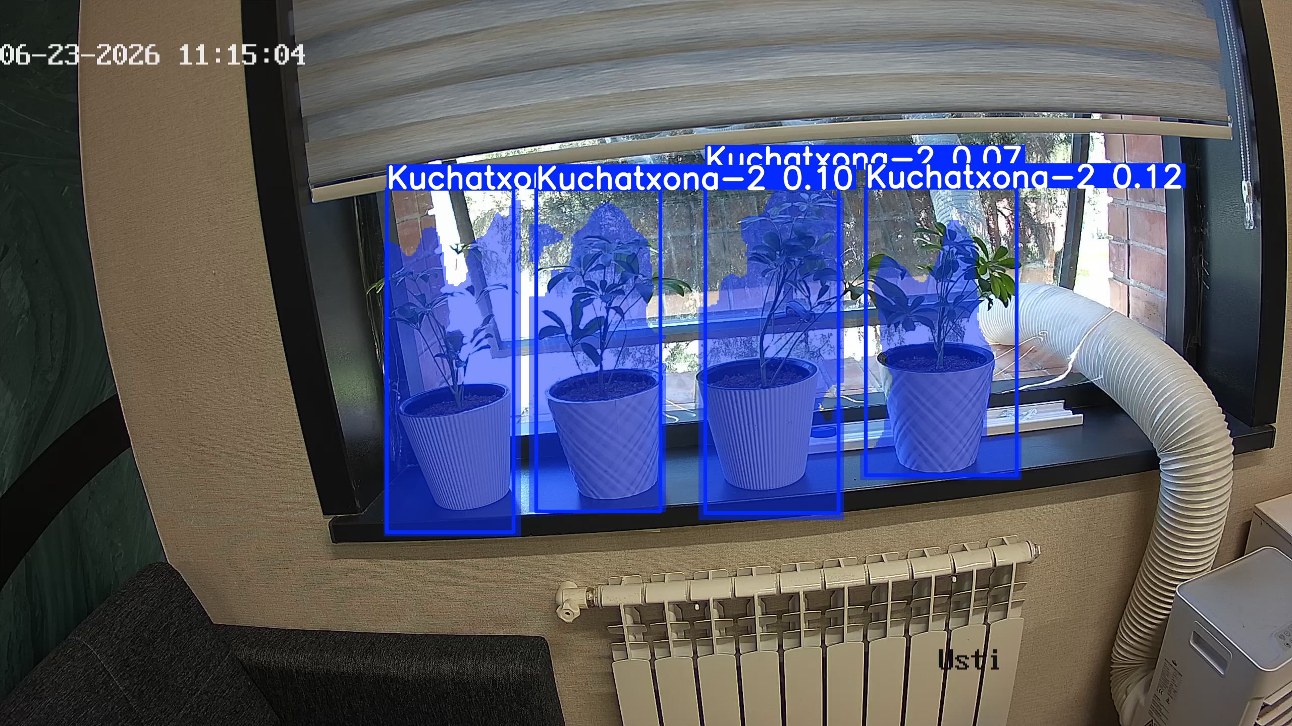 seedling_2026-06-23_11-15-19.jpg