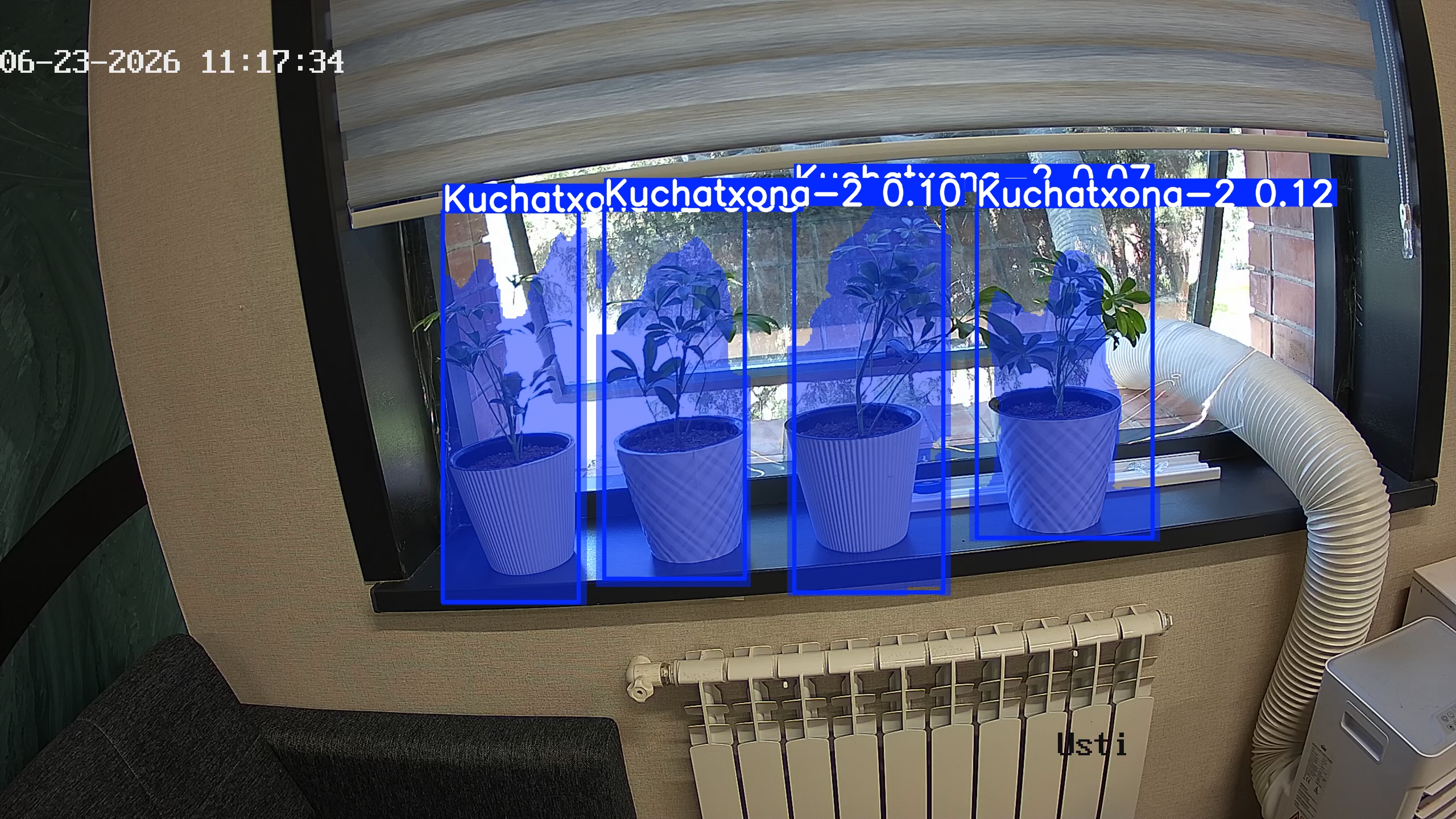 seedling_2026-06-23_11-17-49.jpg