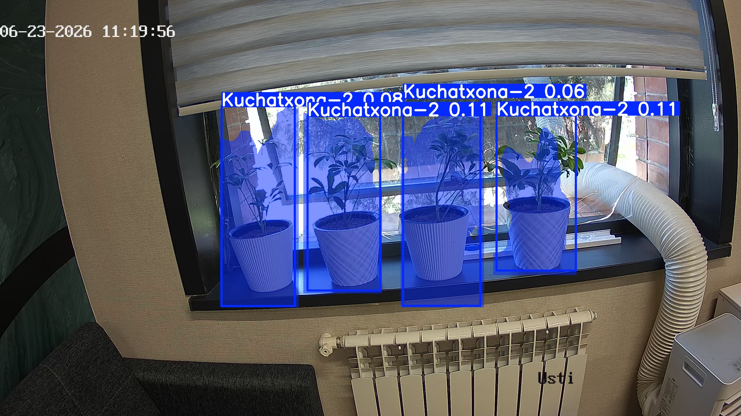 seedling_2026-06-23_11-20-11.jpg