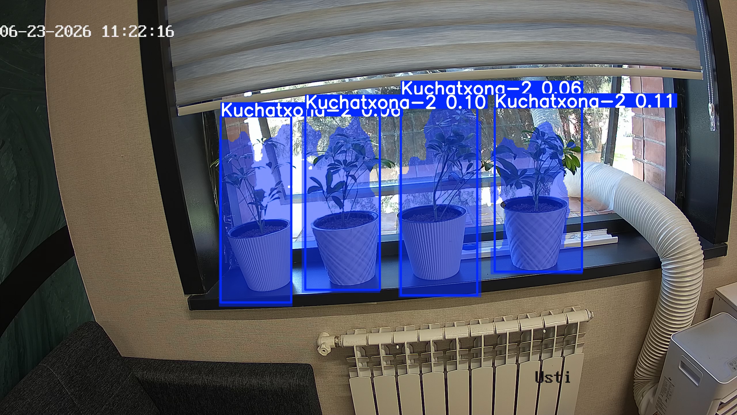 seedling_2026-06-23_11-22-31.jpg