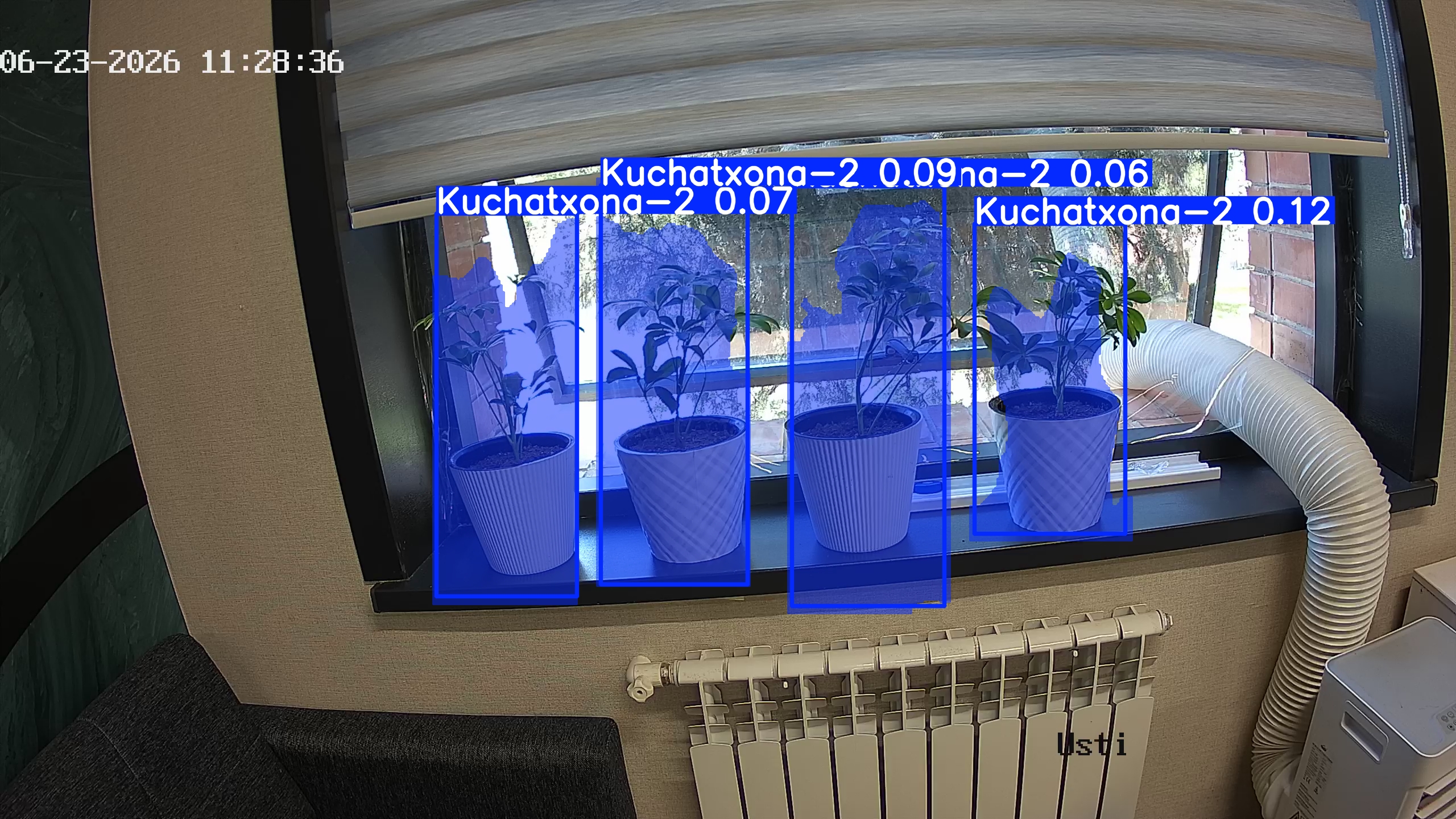 seedling_2026-06-23_11-29-18.jpg