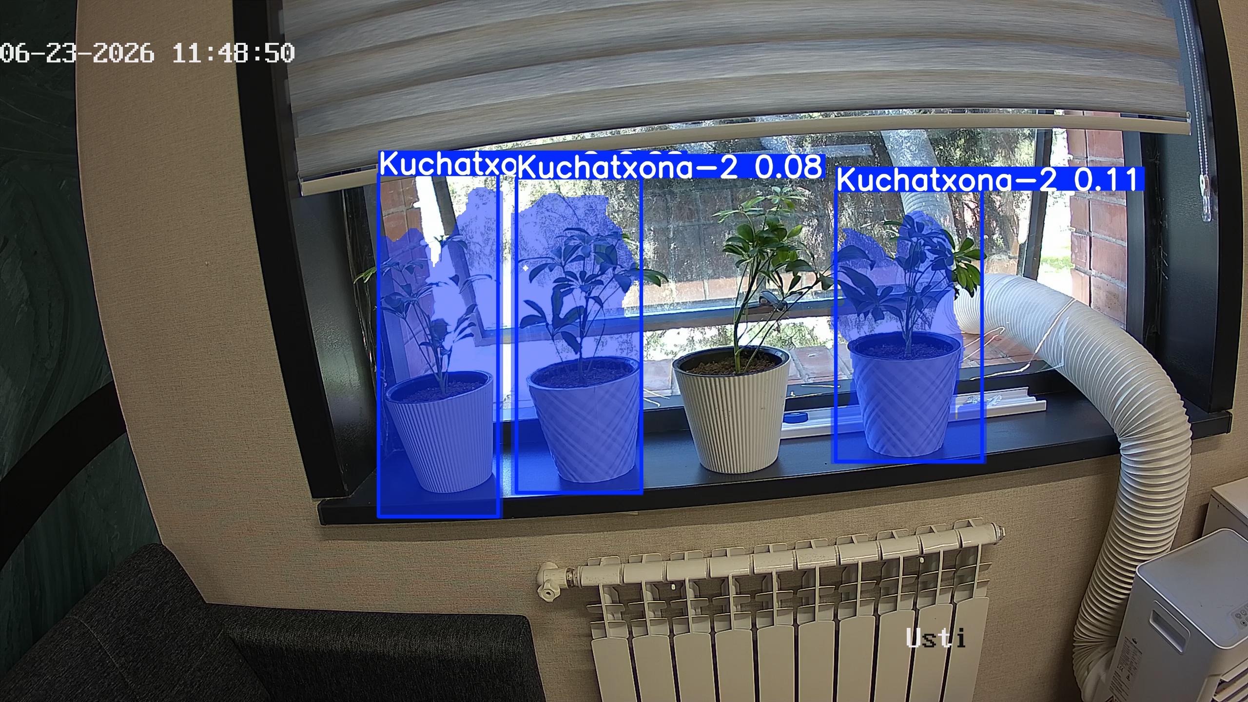 seedling_2026-06-23_11-49-01.jpg