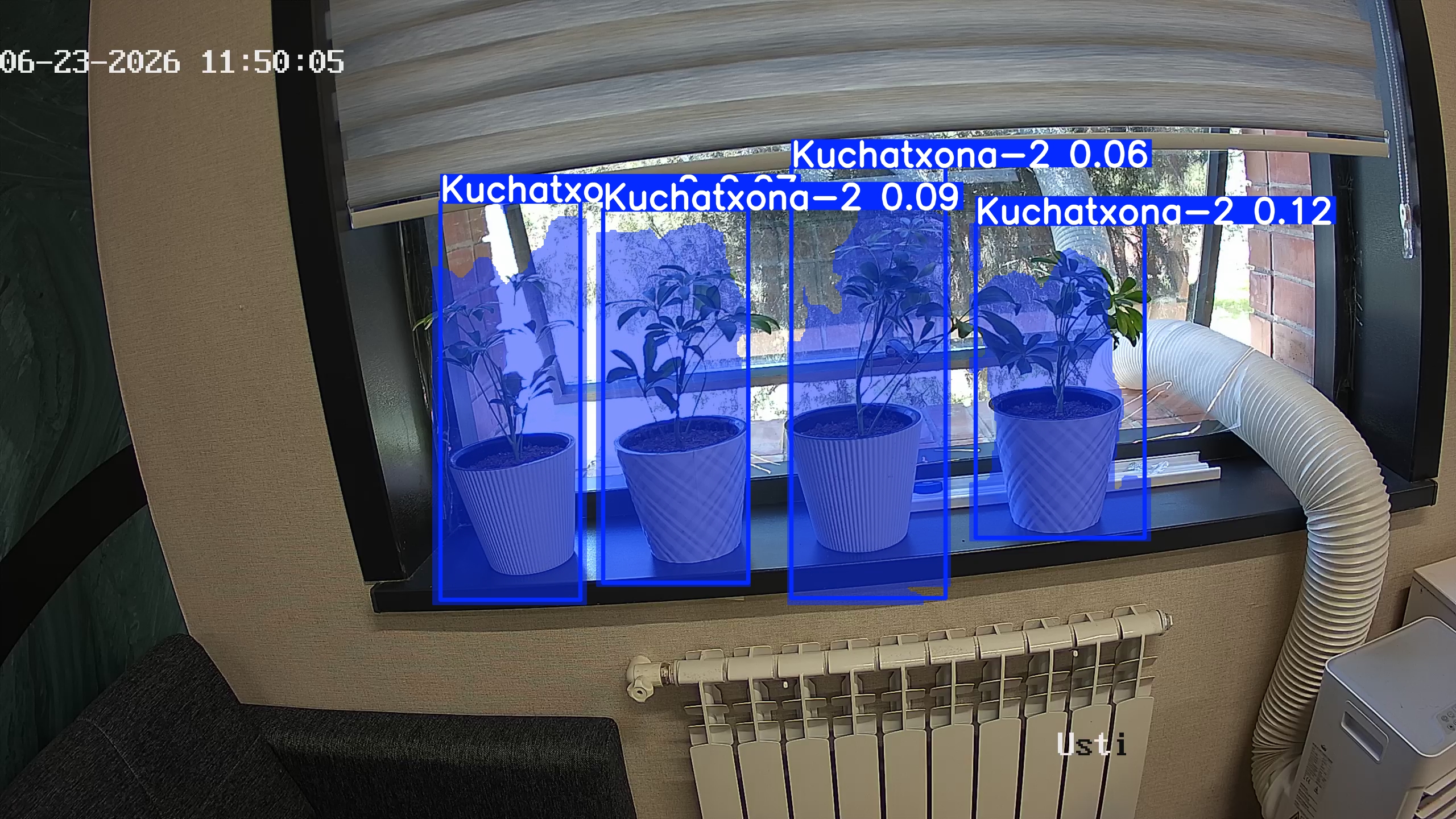 seedling_2026-06-23_11-50-21.jpg