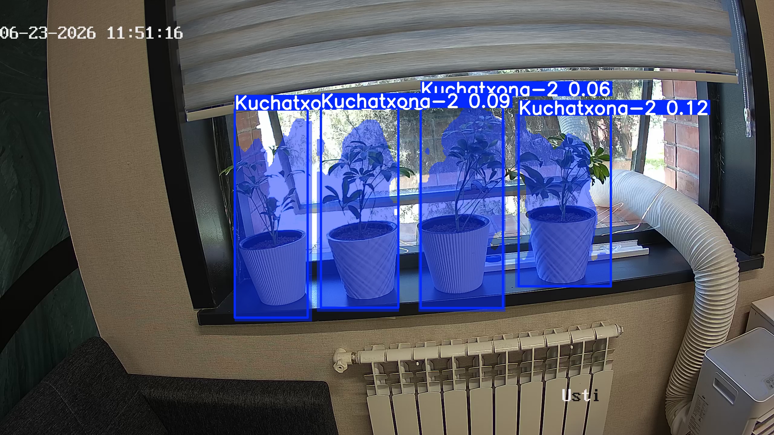 seedling_2026-06-23_11-51-31.jpg