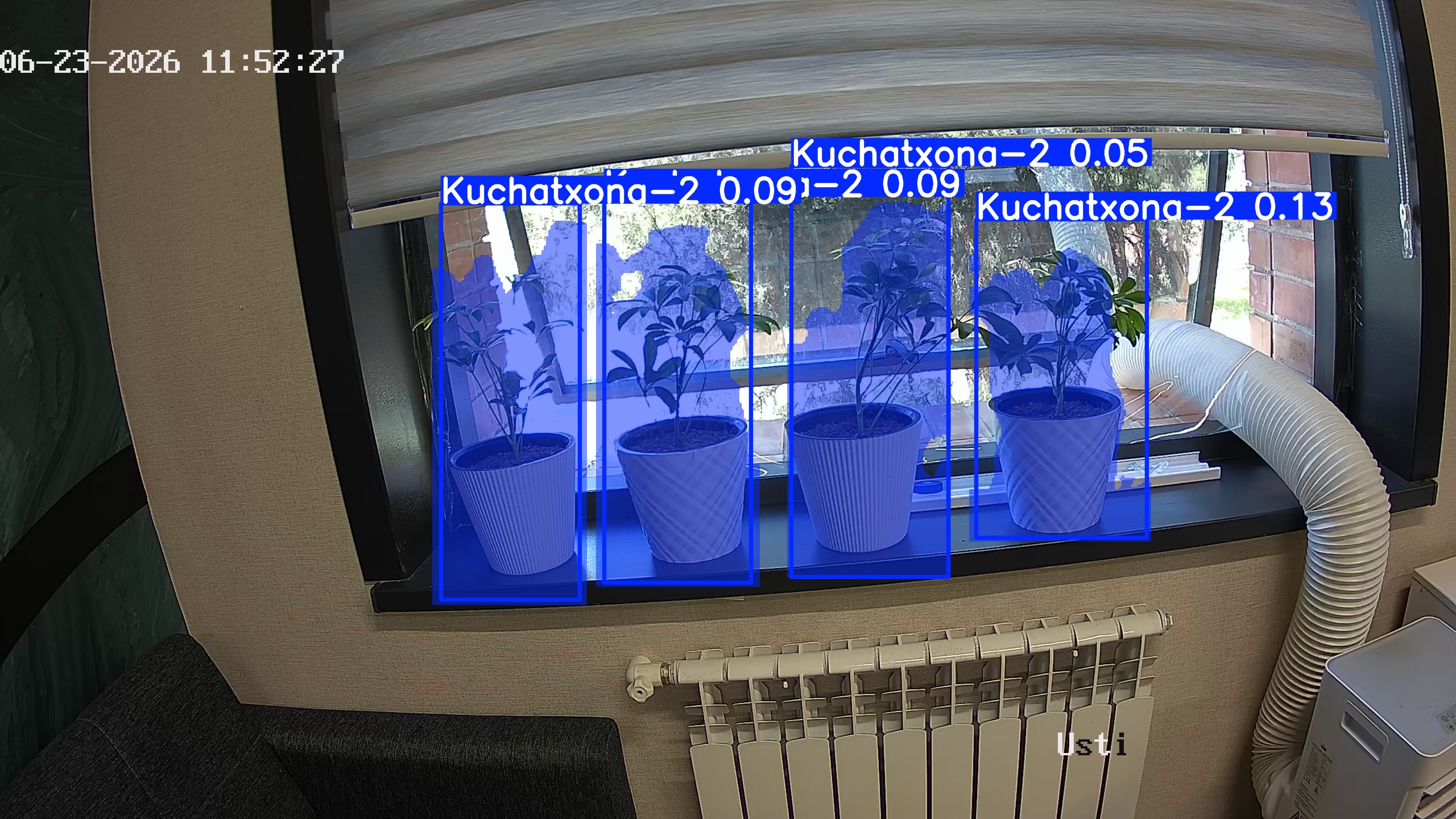 seedling_2026-06-23_11-52-42.jpg