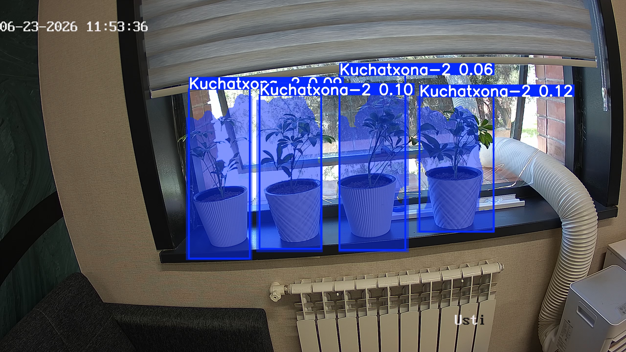 seedling_2026-06-23_11-53-51.jpg