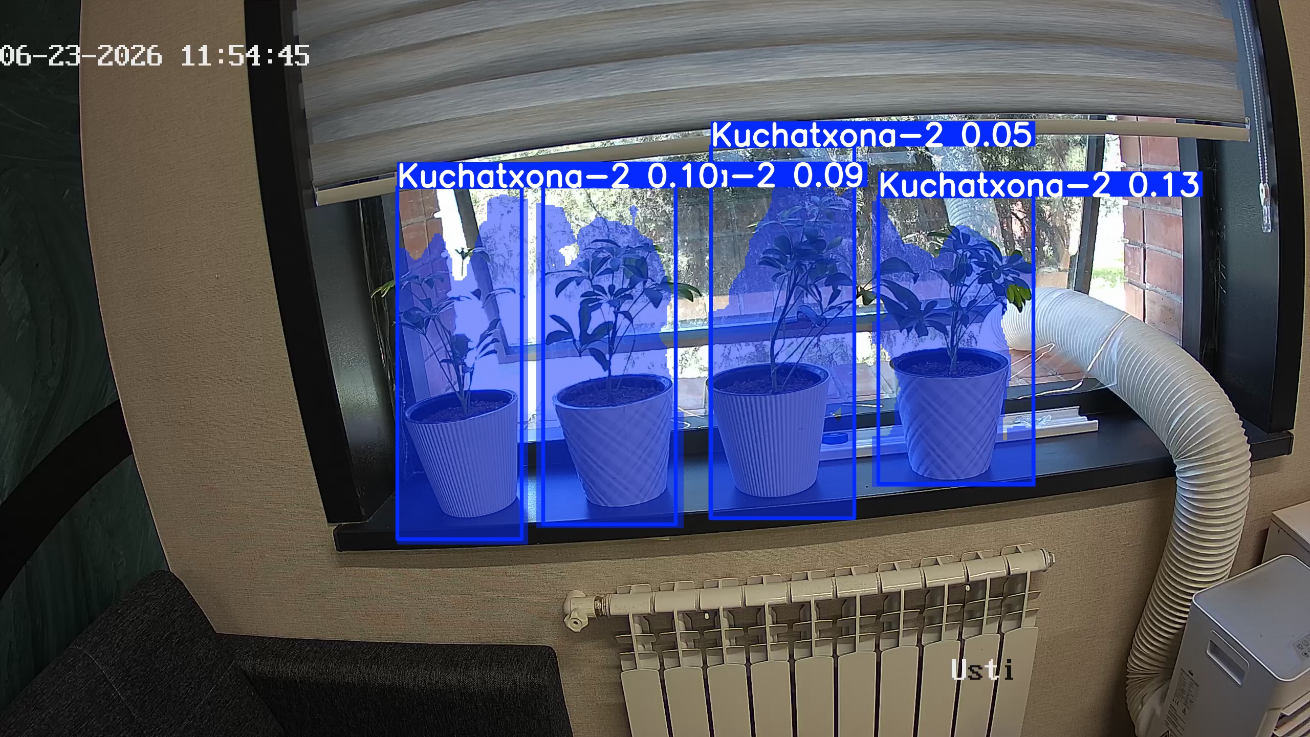 seedling_2026-06-23_11-55-01.jpg