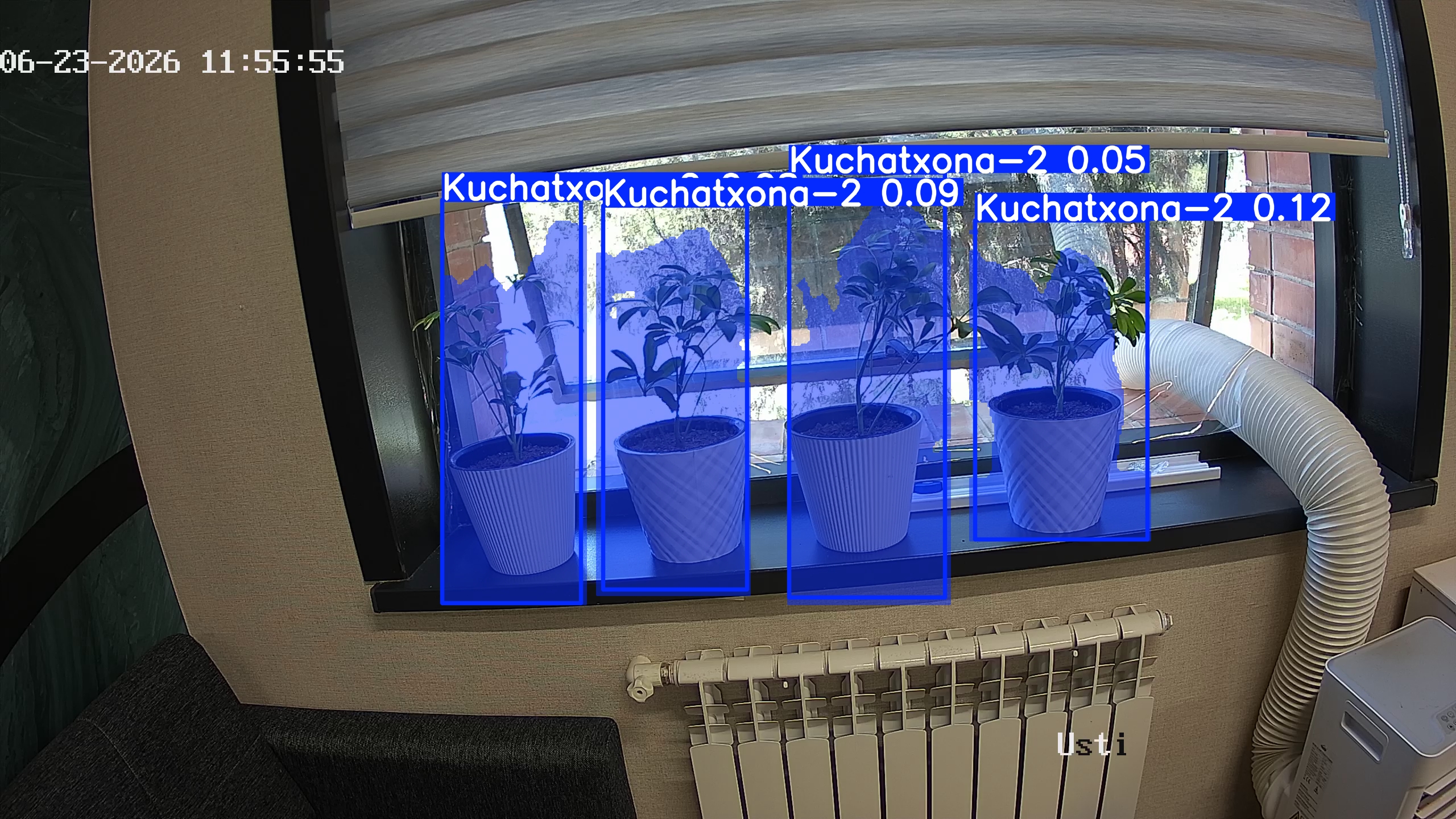 seedling_2026-06-23_11-56-10.jpg