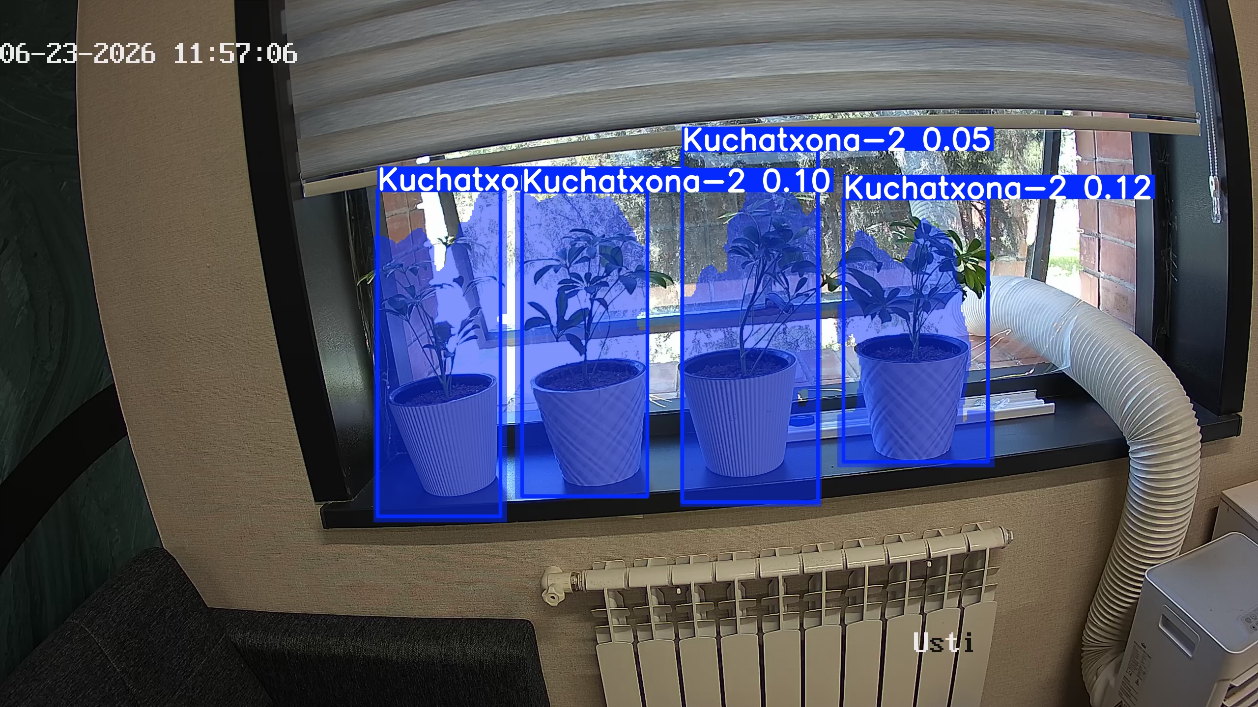 seedling_2026-06-23_11-57-21.jpg