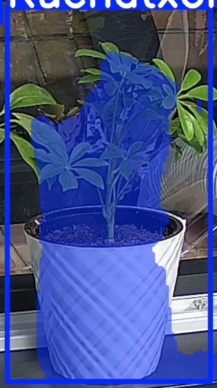 TREE-000013_20260623_043939.jpg