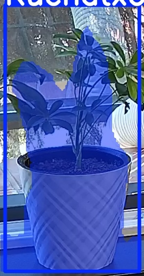 TREE-000013_20260623_110655.jpg