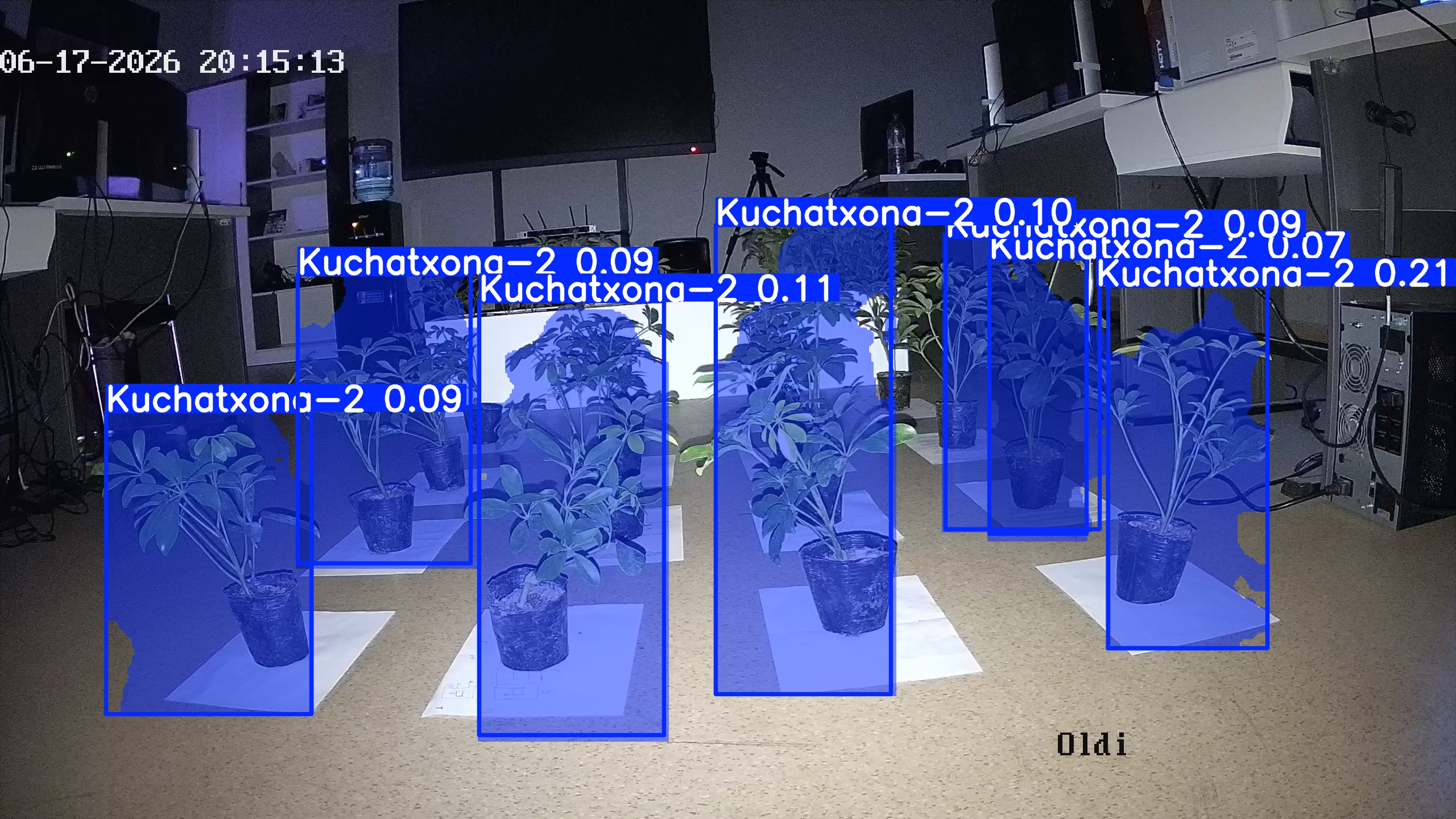 seedling_2026-06-17_20-15-54.jpg