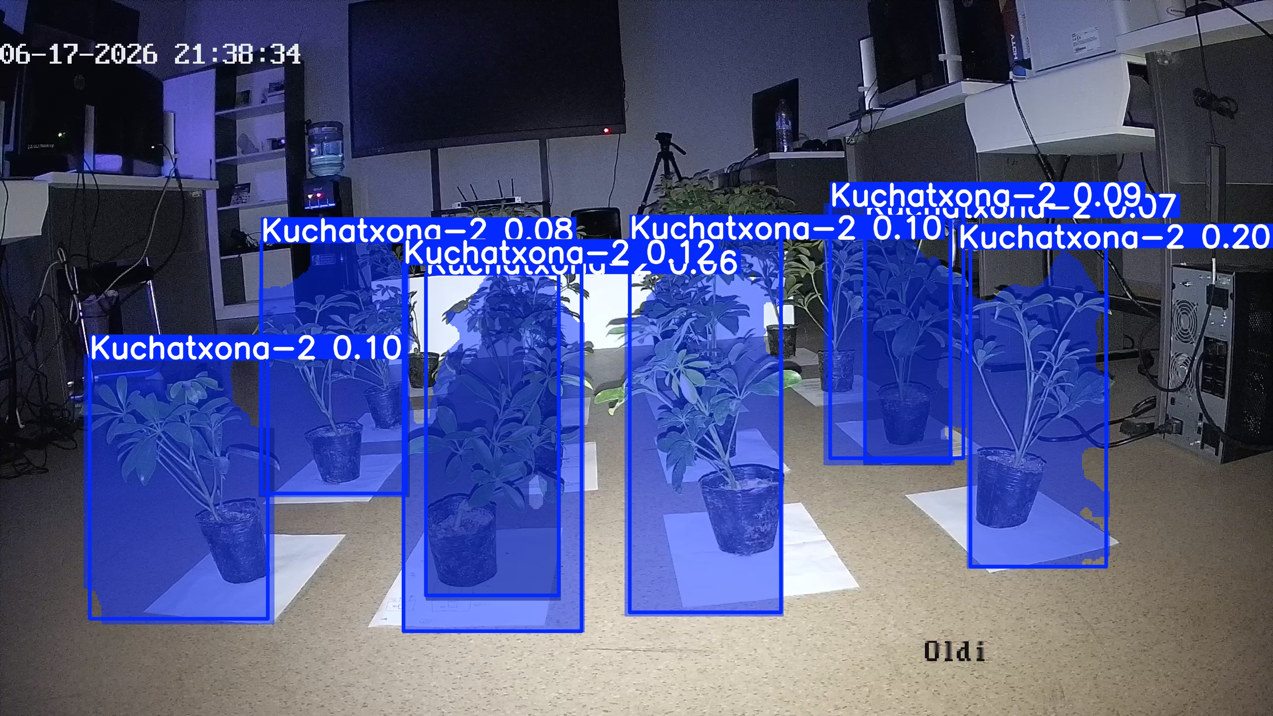seedling_2026-06-17_21-39-19.jpg