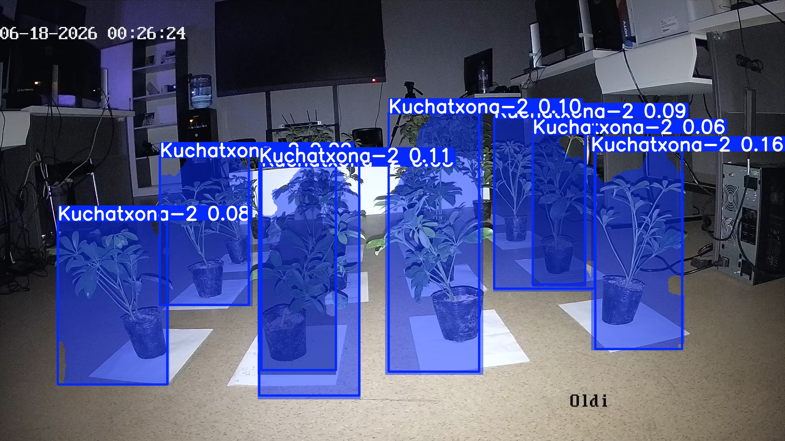 seedling_2026-06-18_00-26-37.jpg