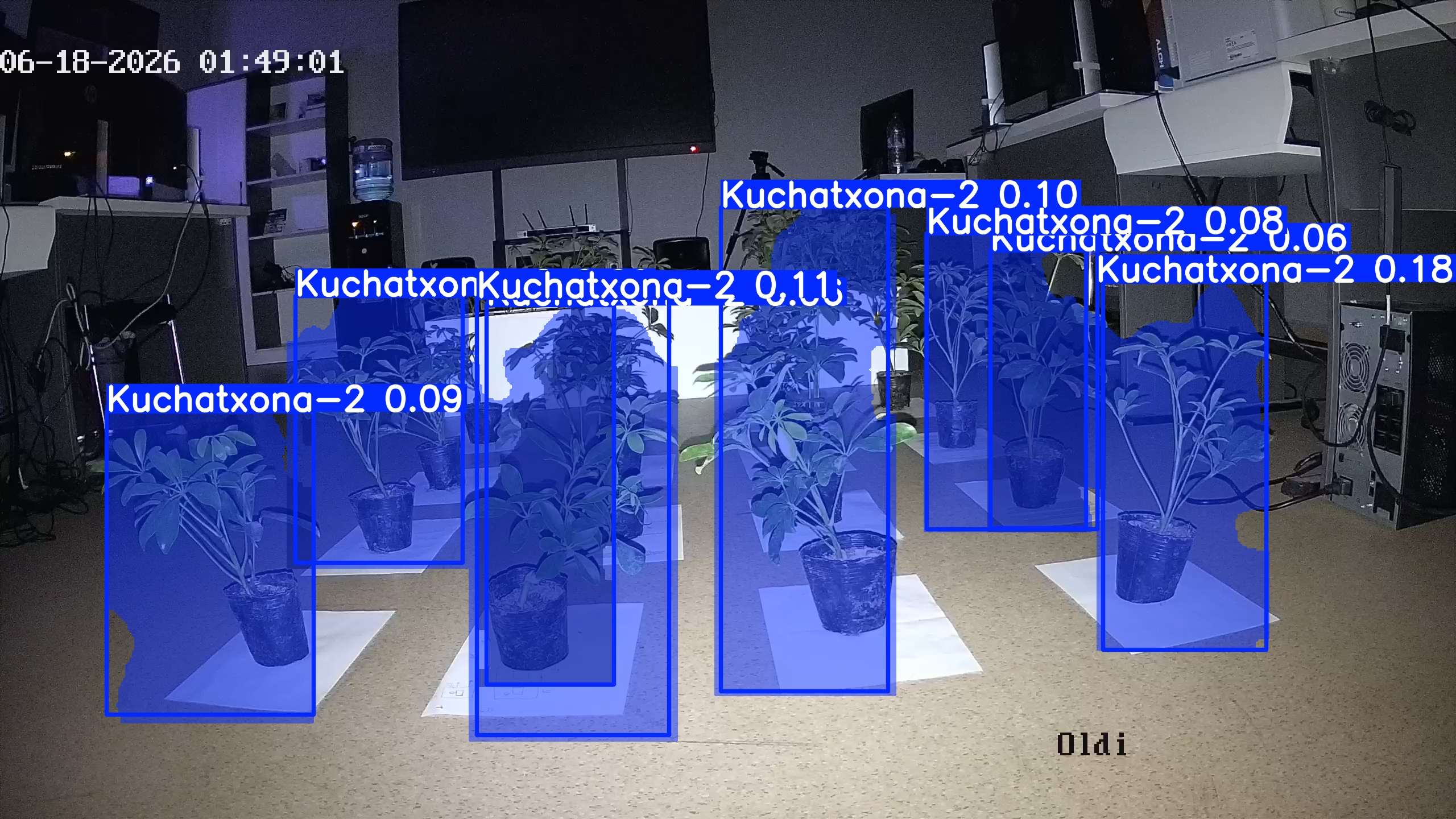 seedling_2026-06-18_01-49-21.jpg