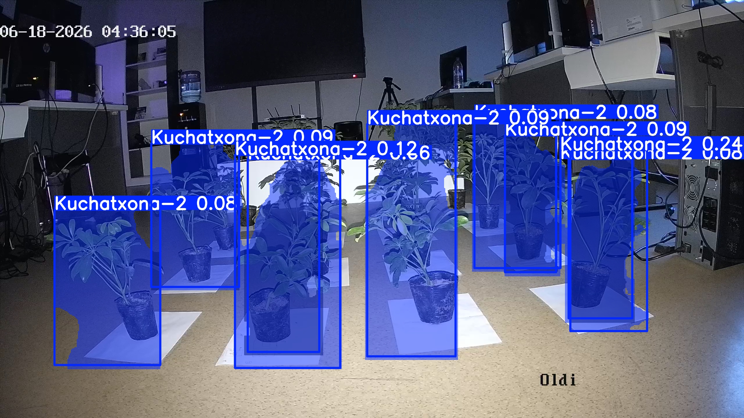 seedling_2026-06-18_04-36-40.jpg