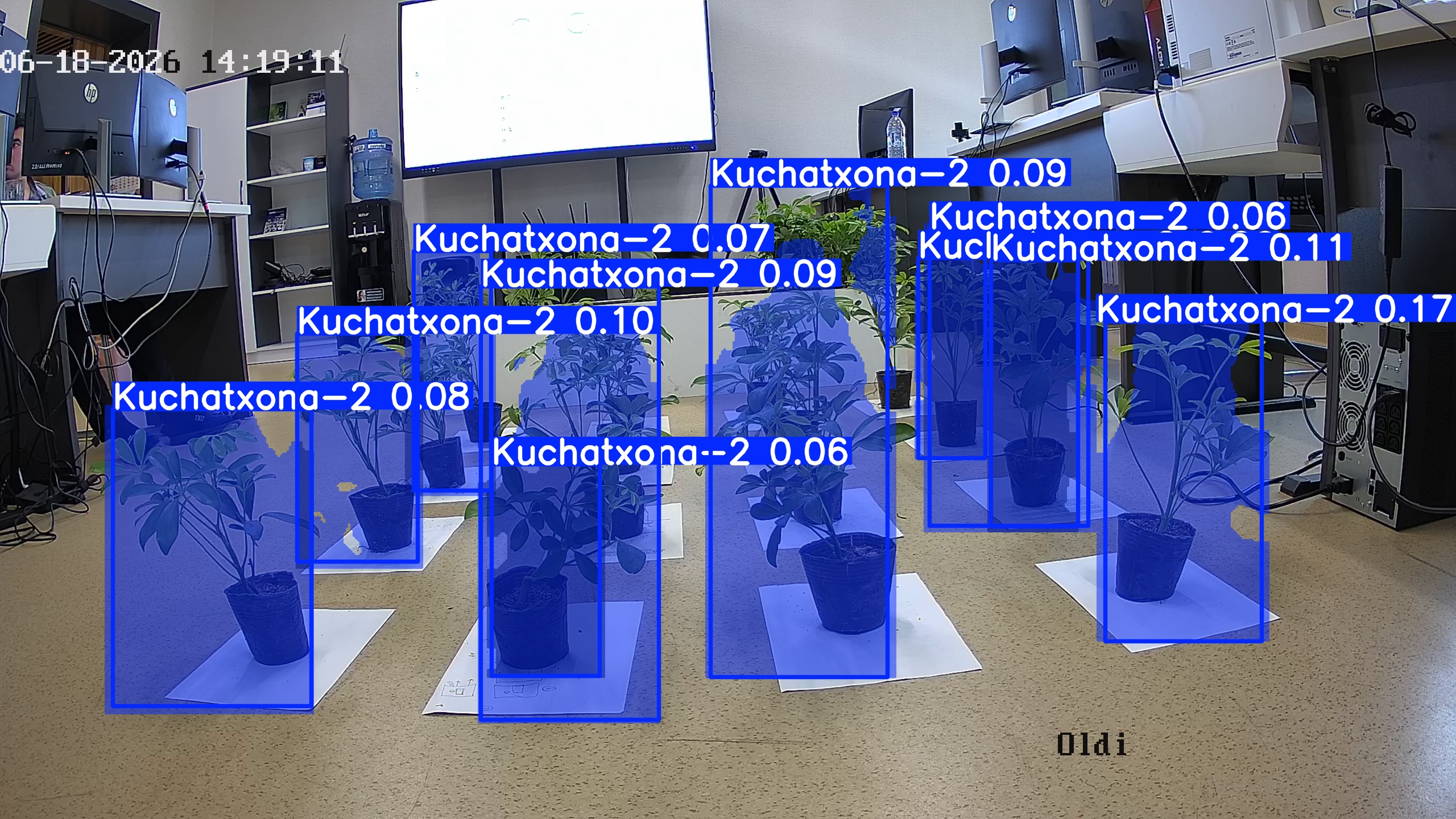 seedling_2026-06-18_14-19-31.jpg