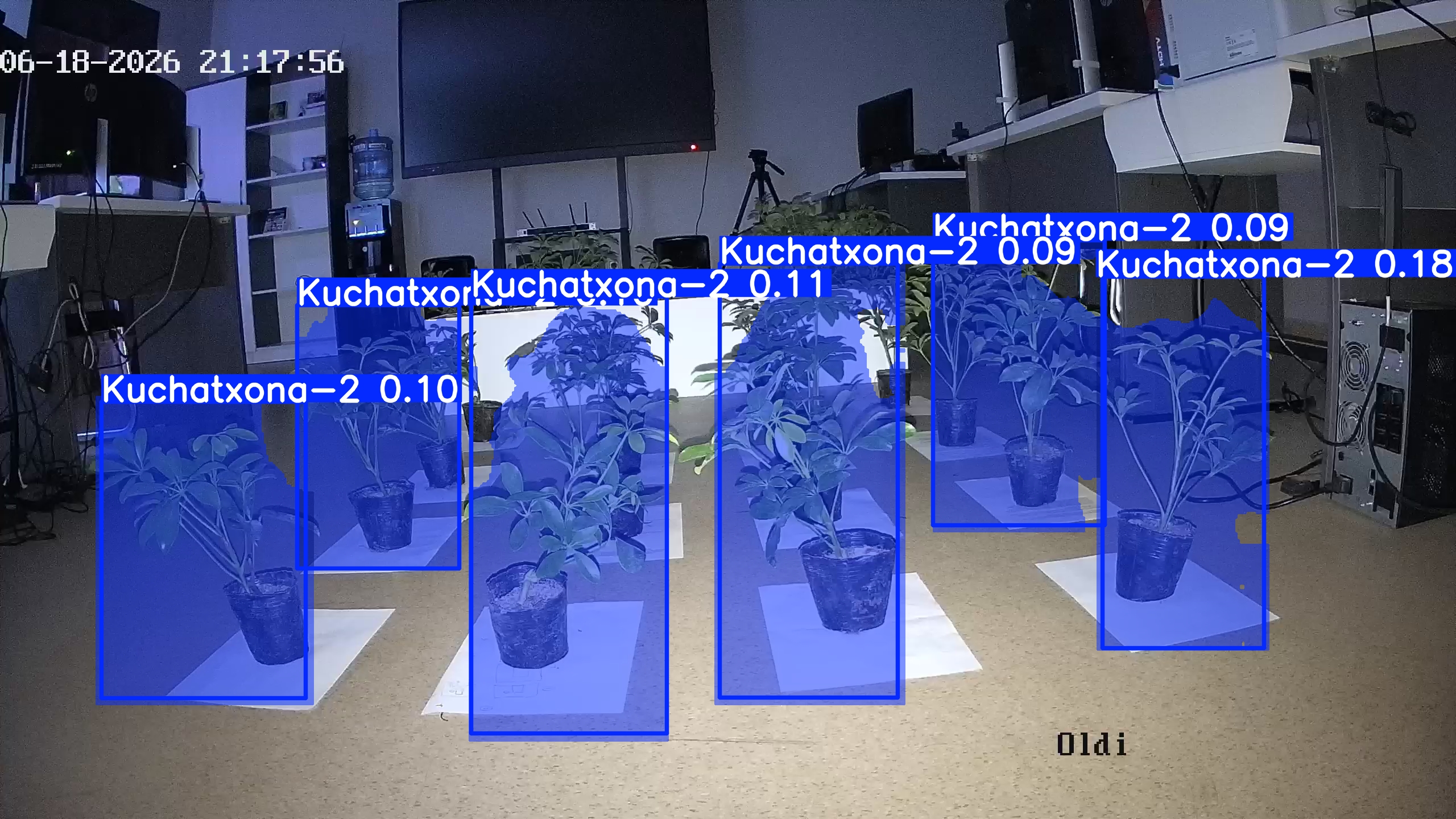 seedling_2026-06-18_21-18-10.jpg