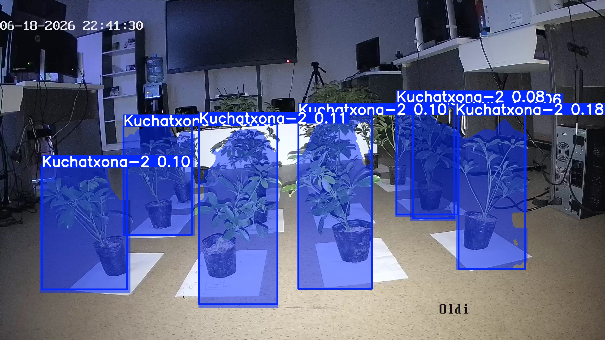 seedling_2026-06-18_22-41-44.jpg