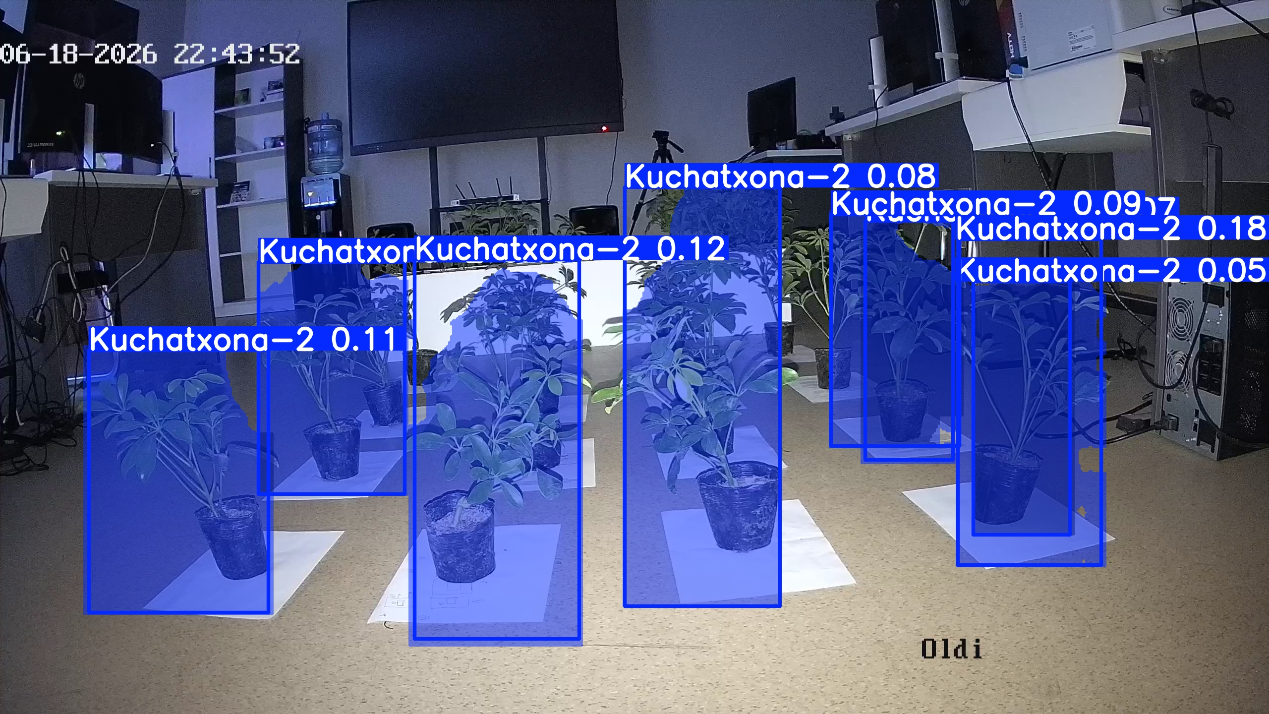 seedling_2026-06-18_22-44-27.jpg