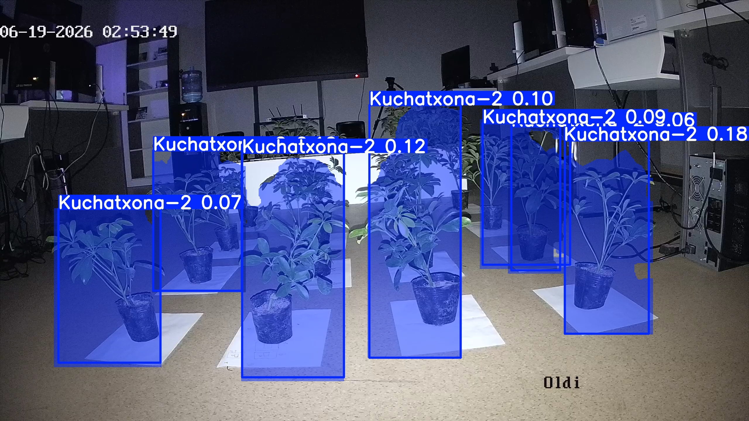 seedling_2026-06-19_02-54-31.jpg