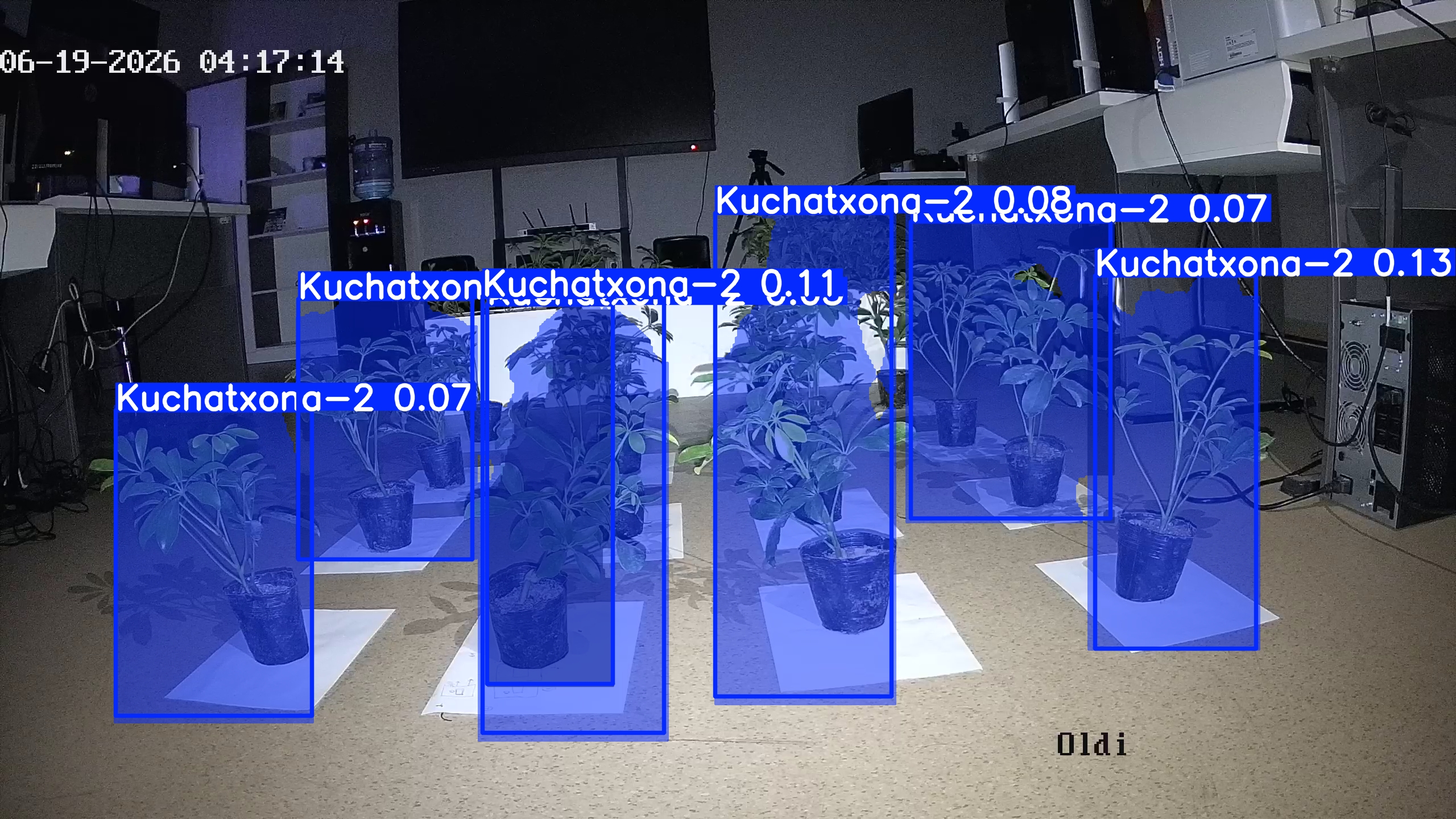 seedling_2026-06-19_04-17-52.jpg