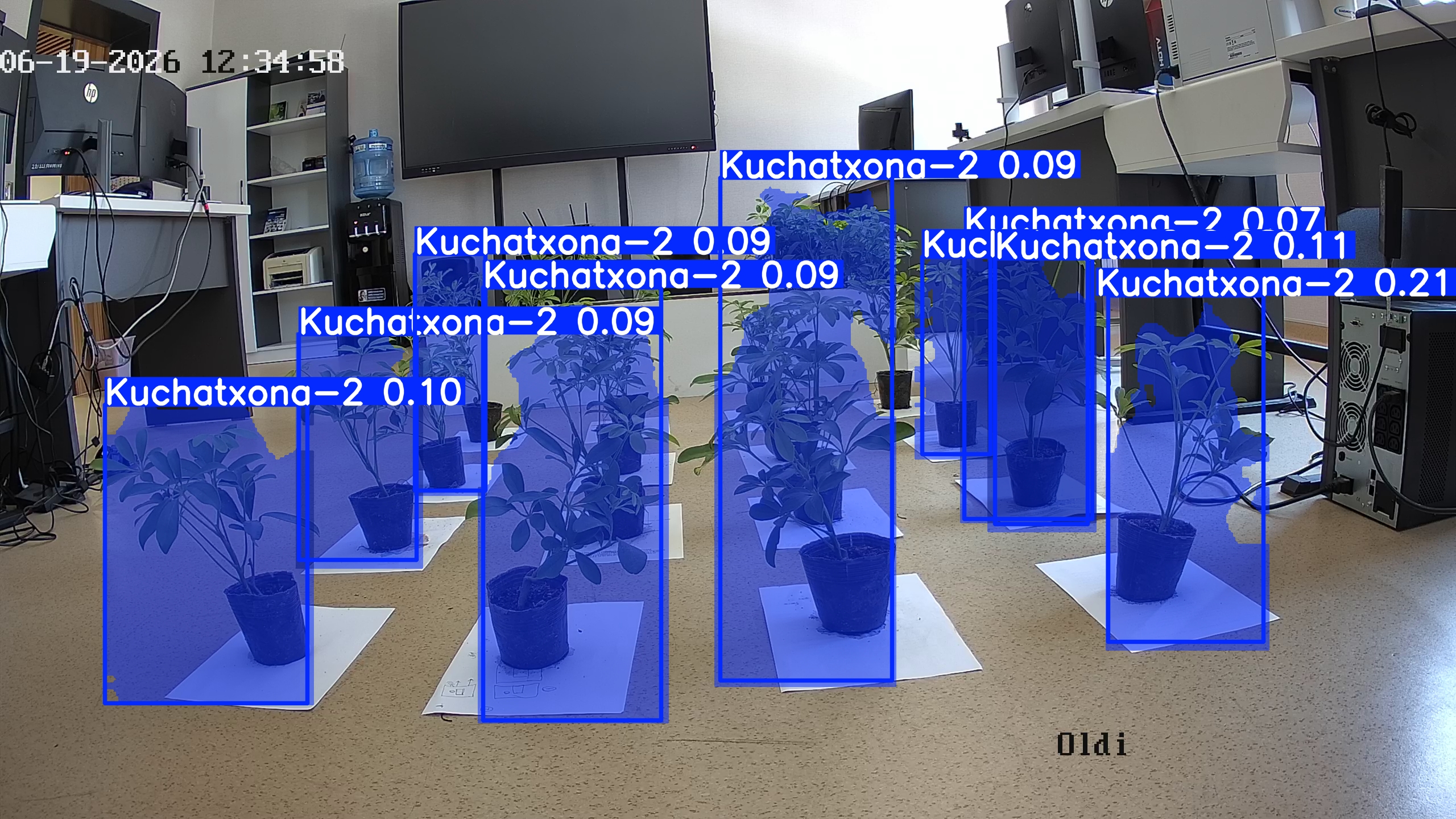 seedling_2026-06-19_12-35-40.jpg