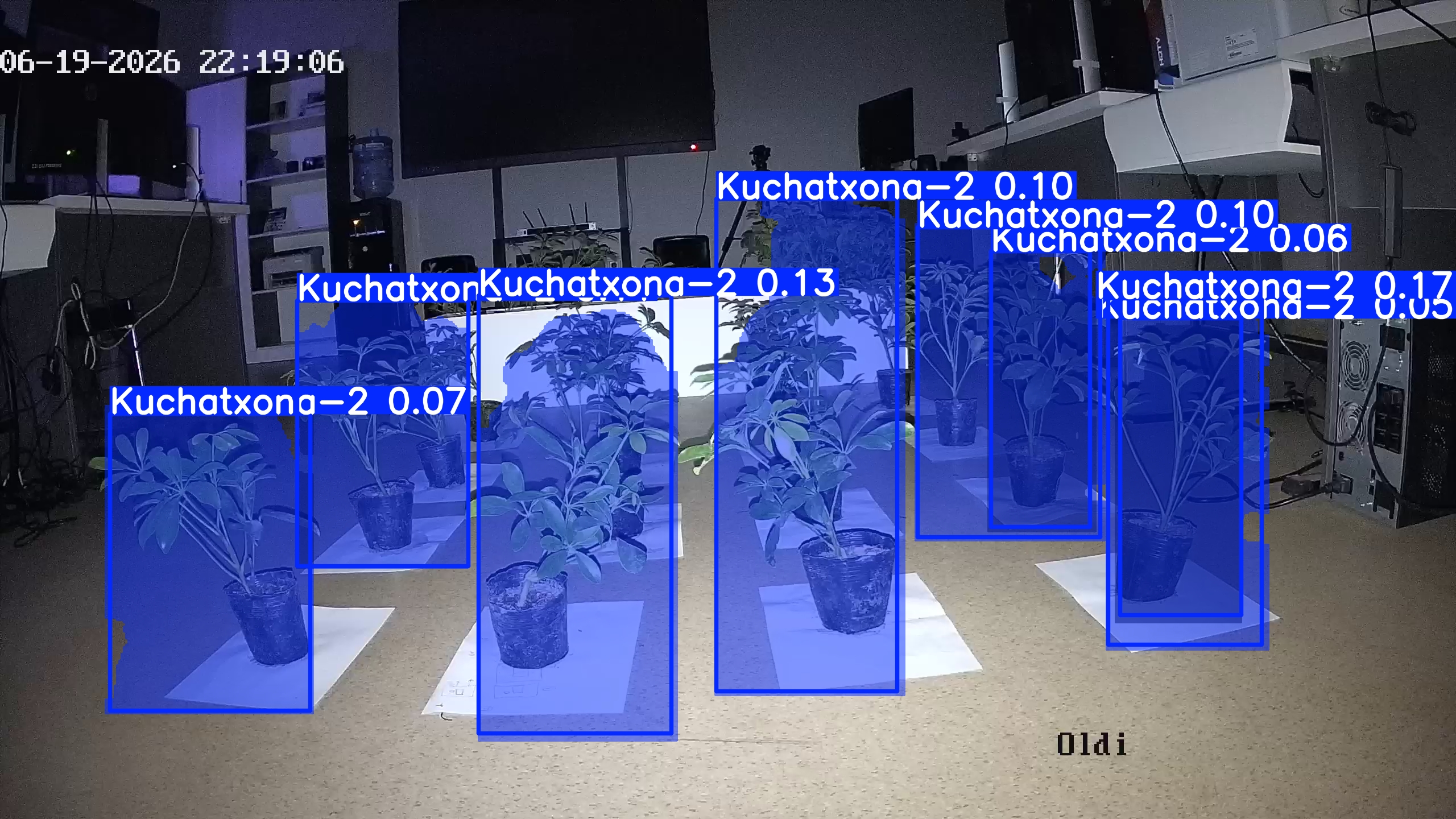 seedling_2026-06-19_22-19-22.jpg