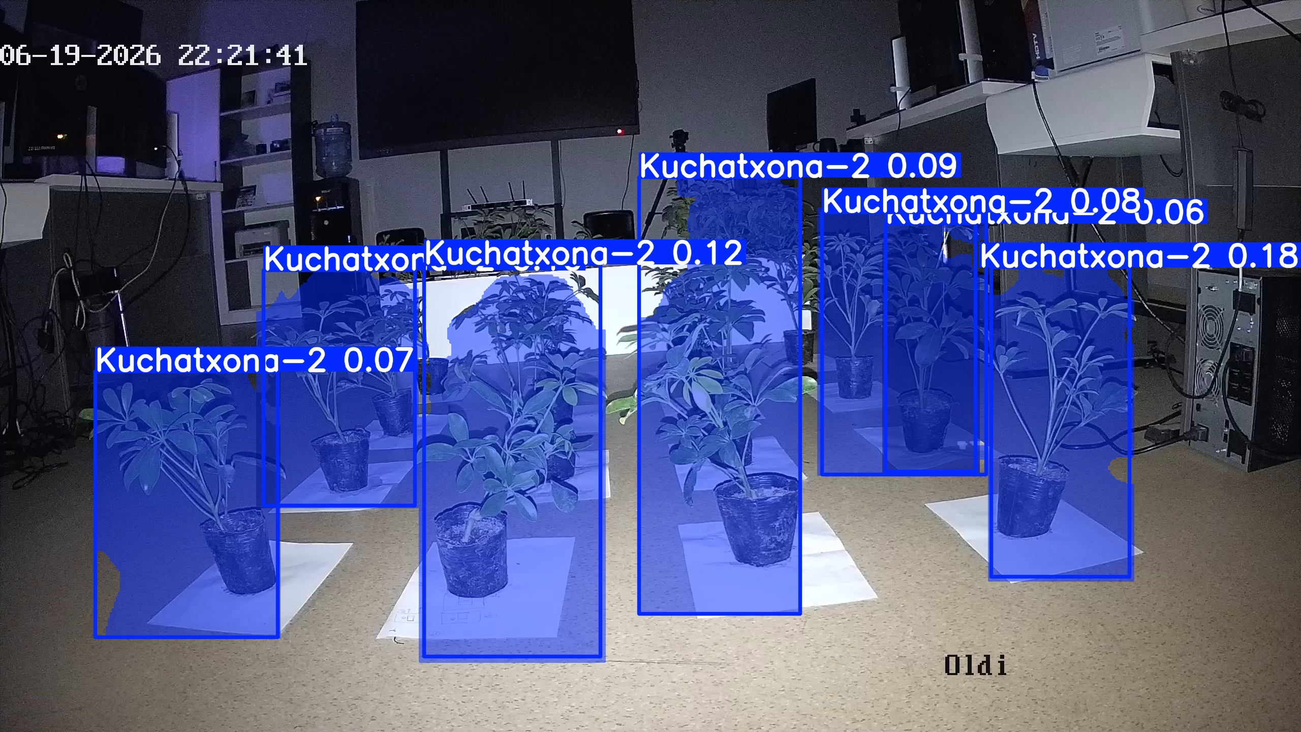 seedling_2026-06-19_22-22-03.jpg