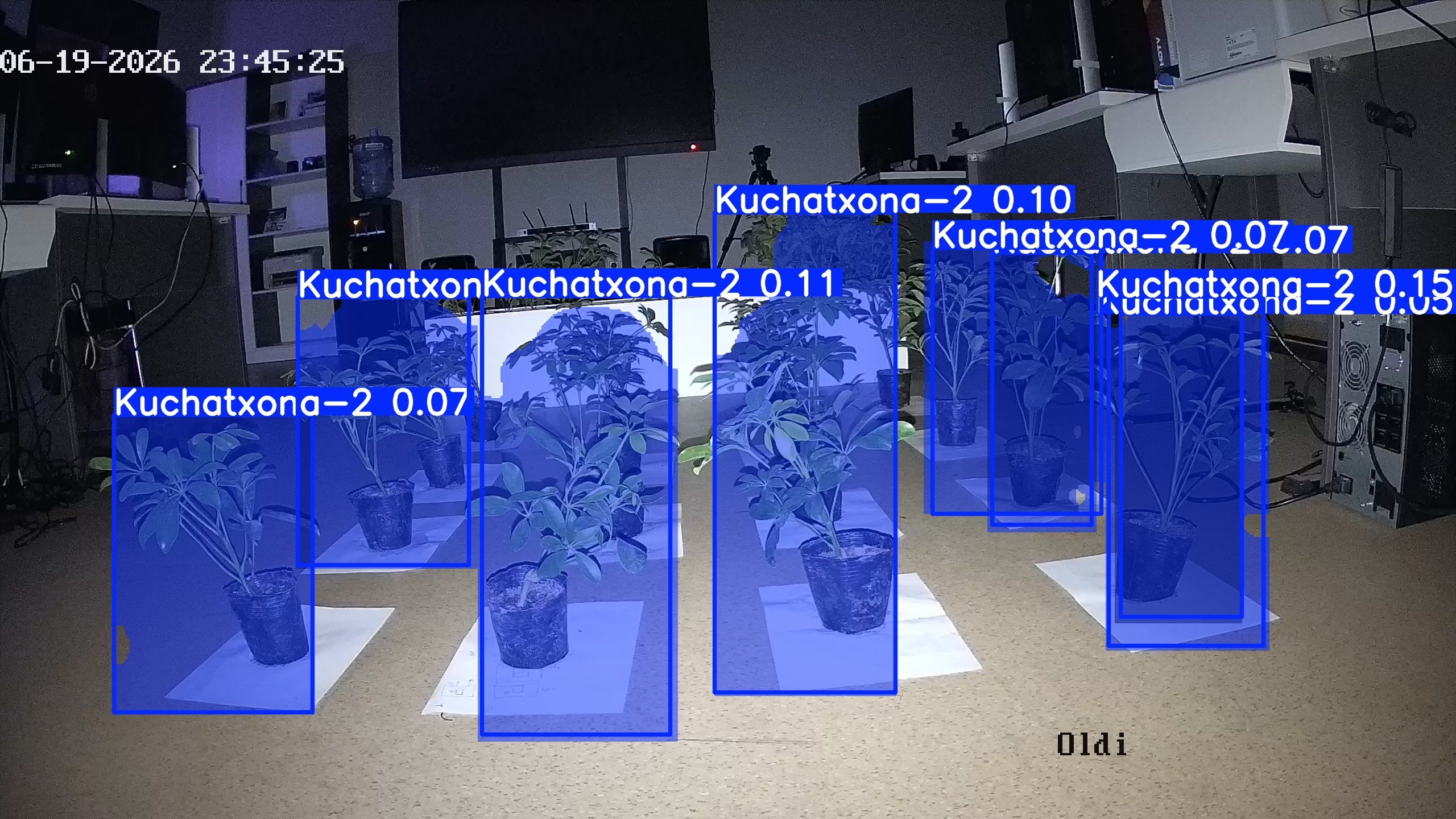 seedling_2026-06-19_23-45-41.jpg