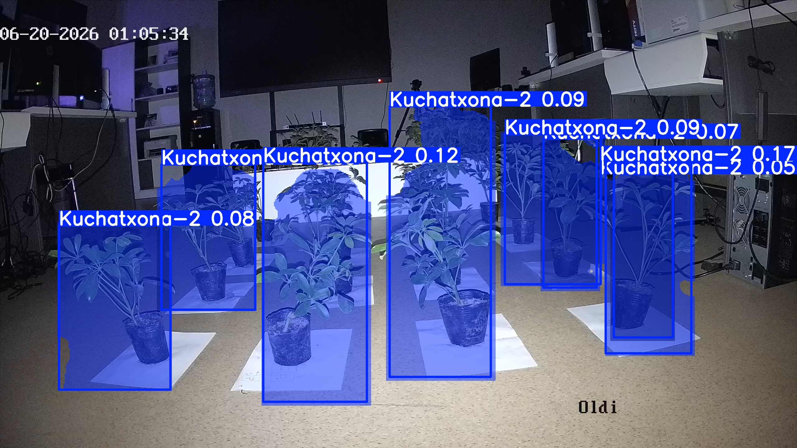 seedling_2026-06-20_01-06-04.jpg