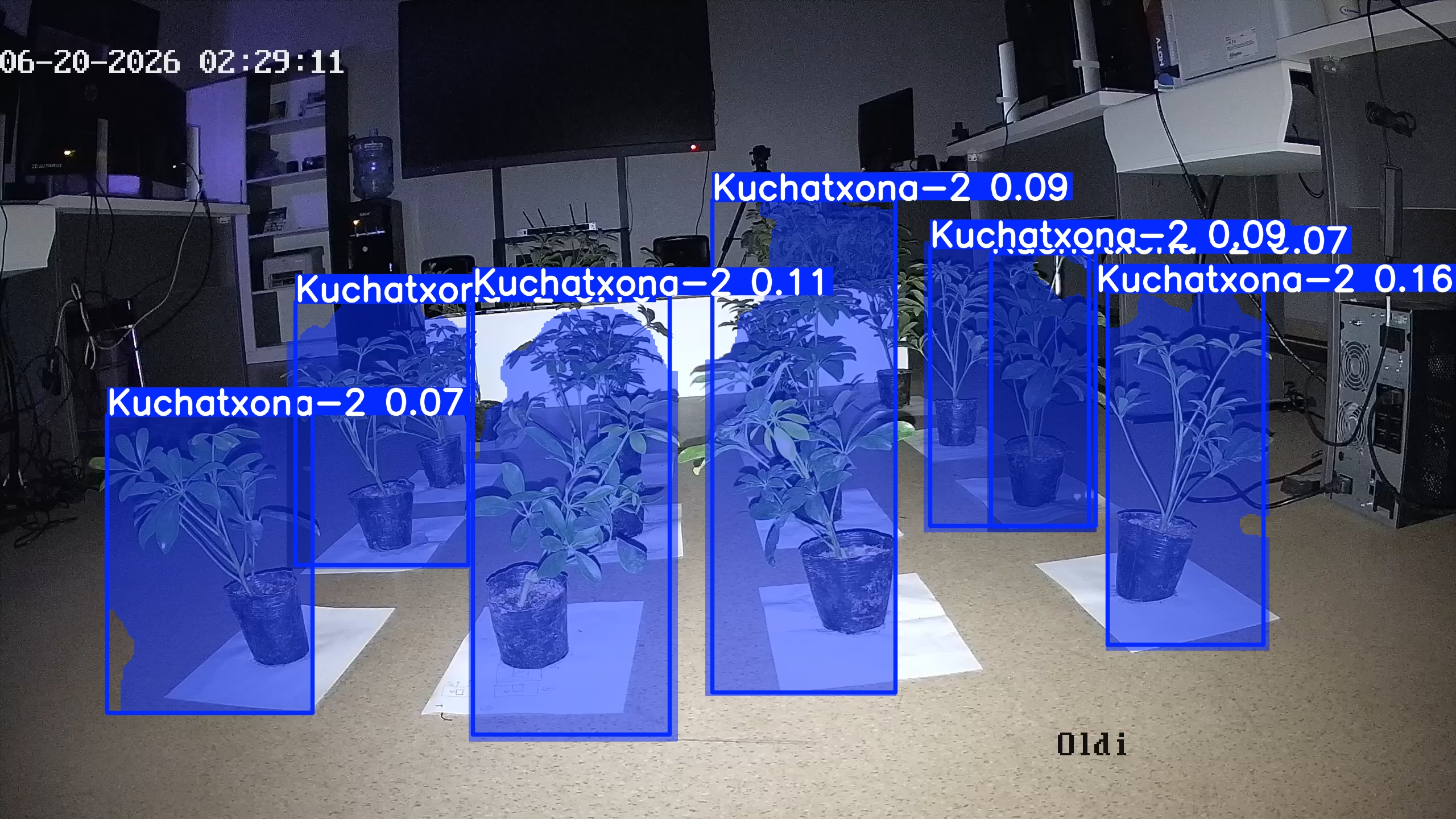 seedling_2026-06-20_02-29-28.jpg