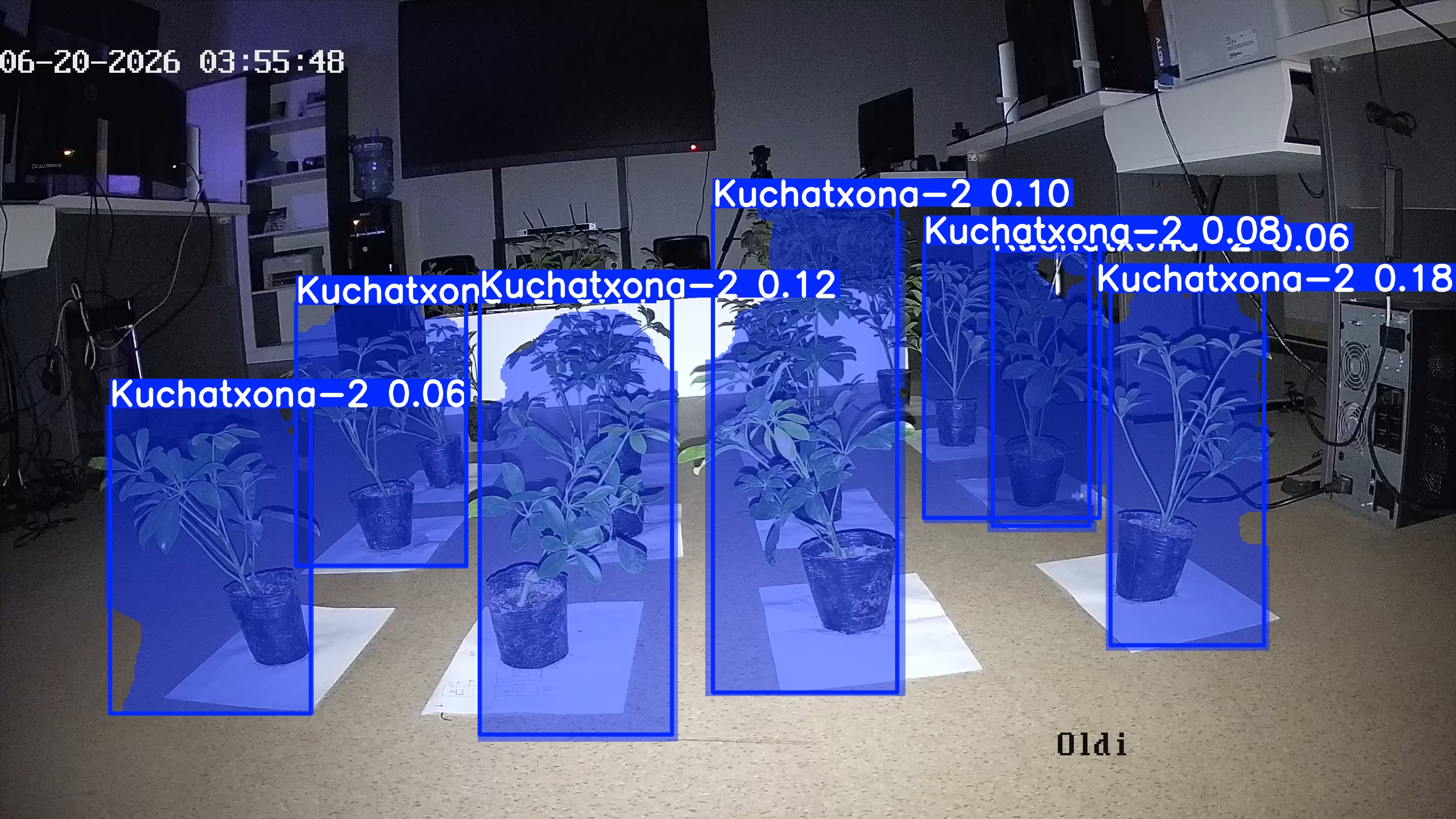seedling_2026-06-20_03-56-04.jpg