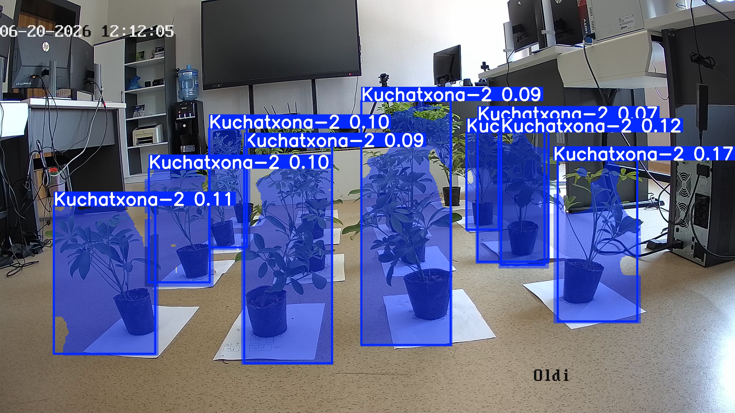 seedling_2026-06-20_12-12-56.jpg