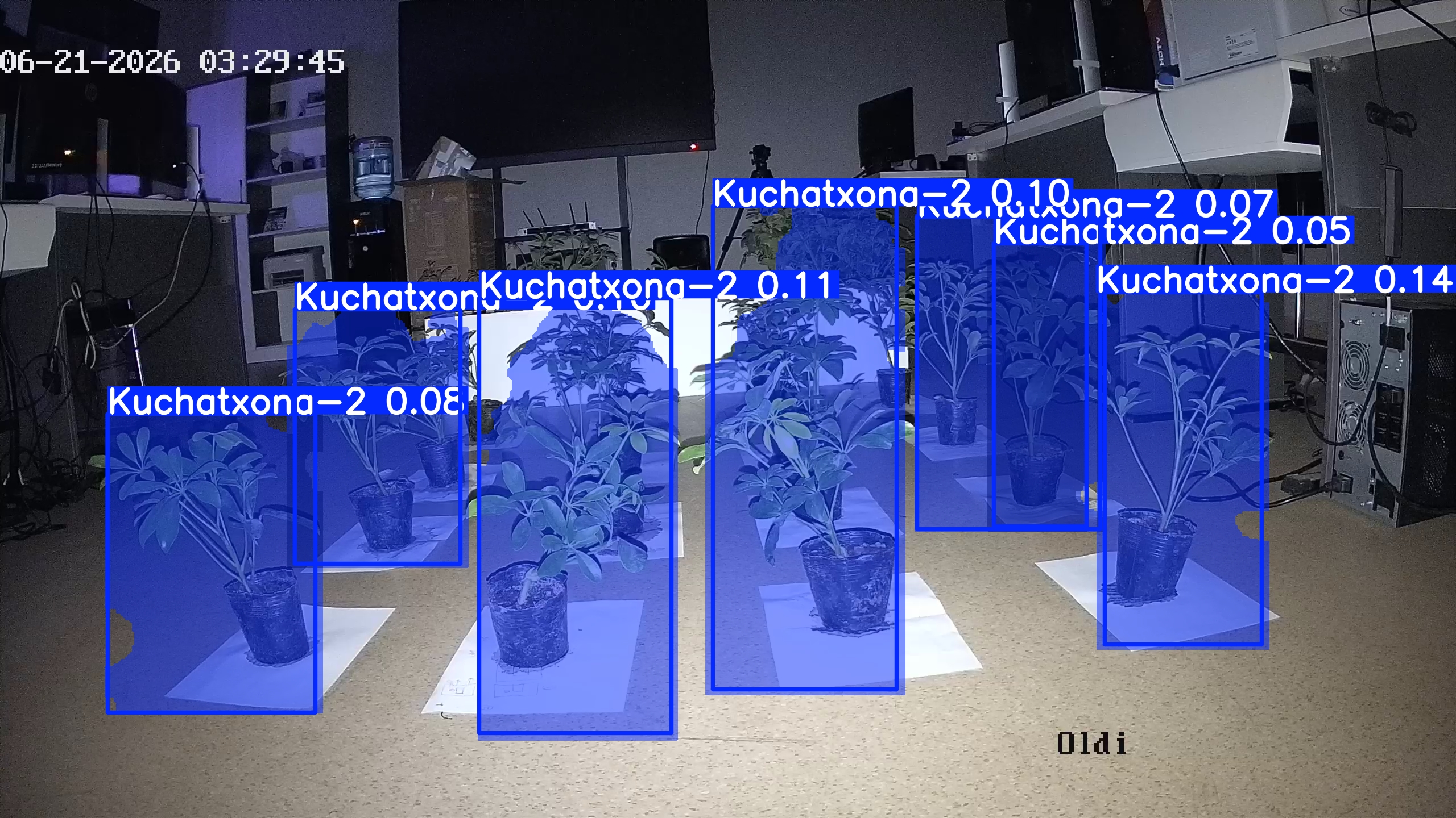 seedling_2026-06-21_03-30-14.jpg