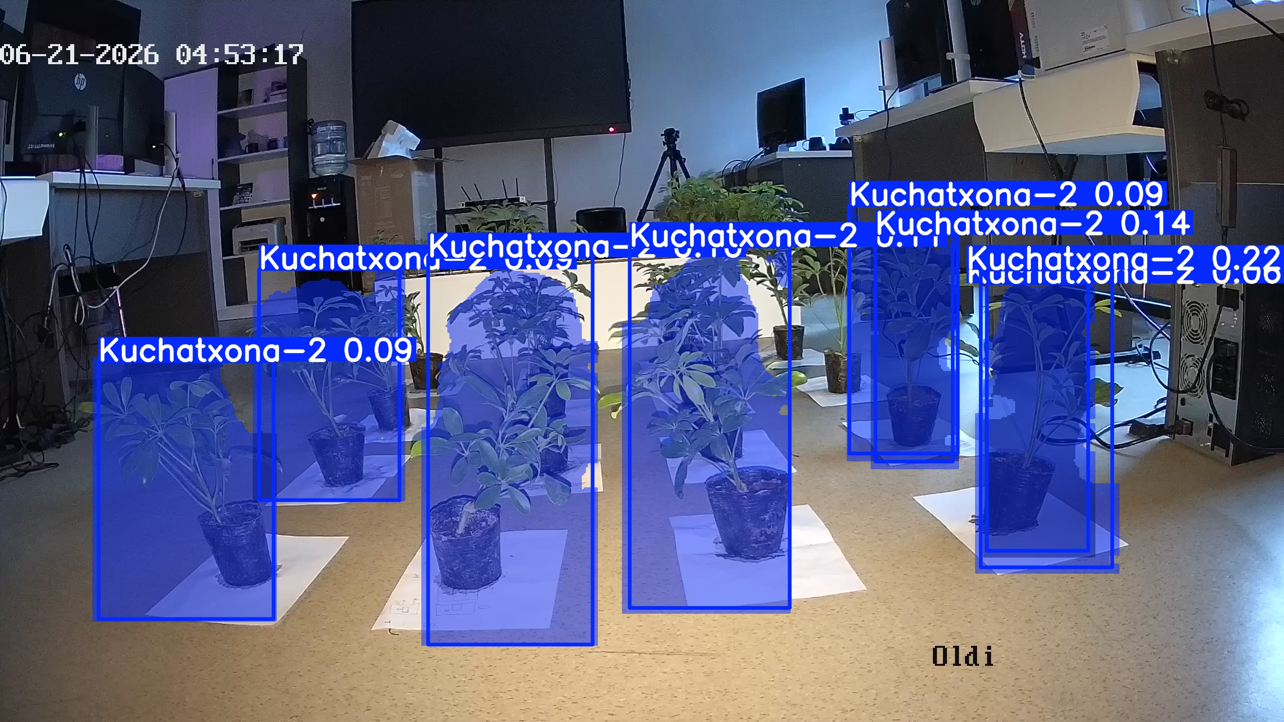 seedling_2026-06-21_04-53-35.jpg