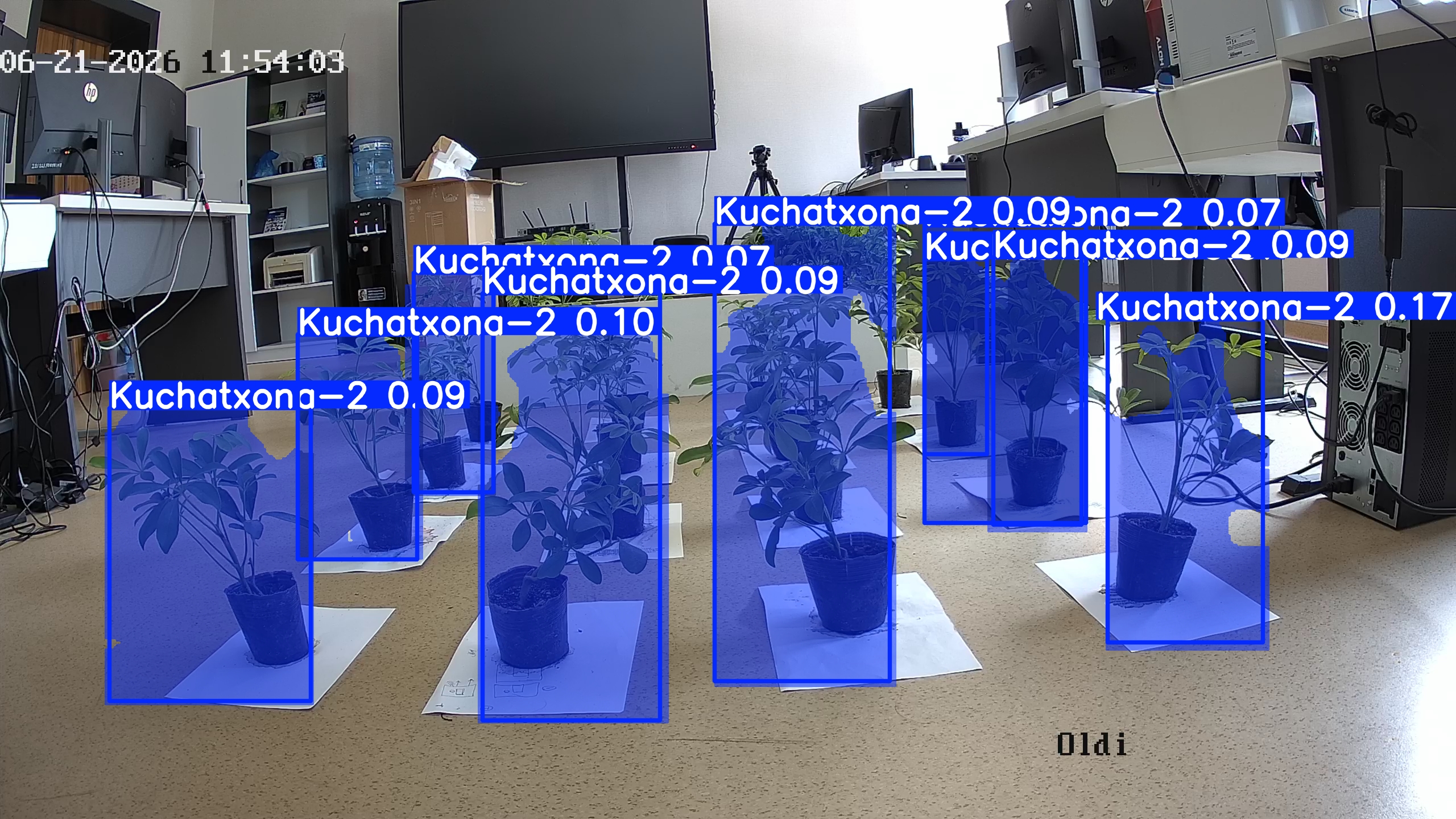 seedling_2026-06-21_11-54-35.jpg