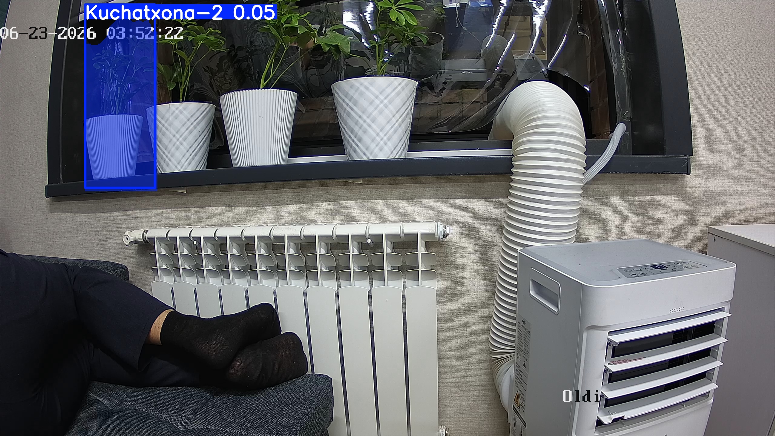 seedling_2026-06-23_03-52-39.jpg