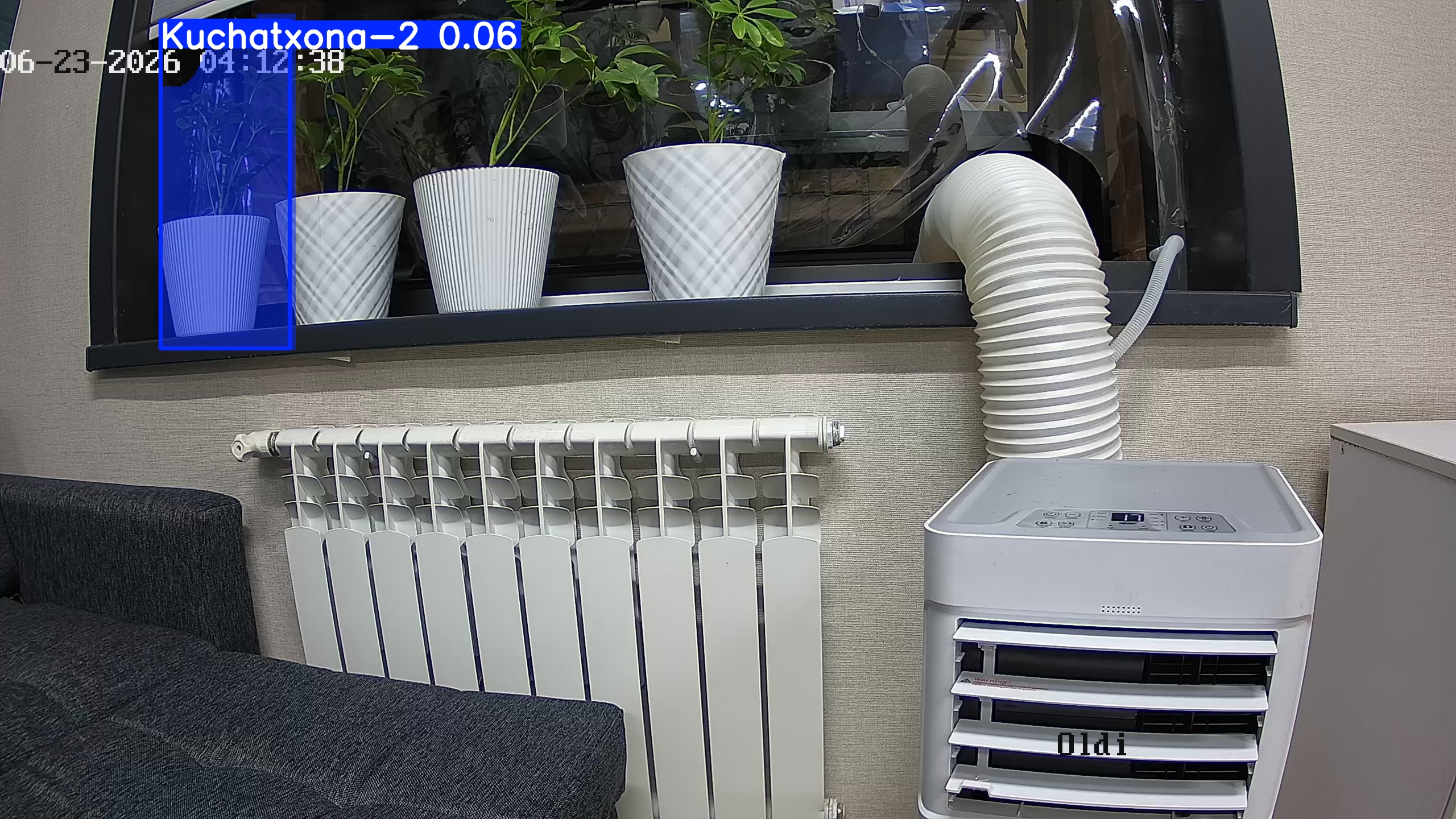 seedling_2026-06-23_04-12-50.jpg