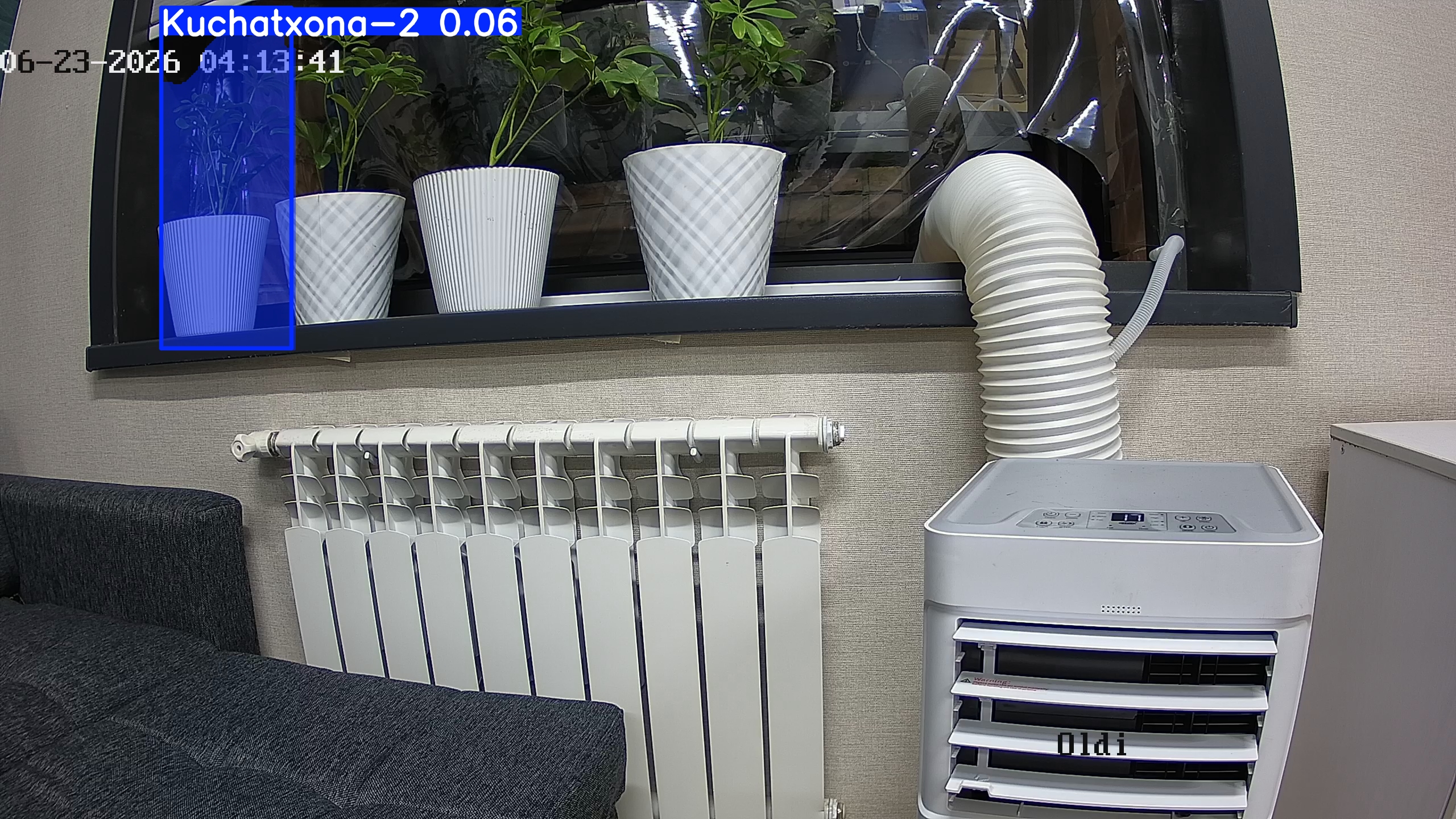 seedling_2026-06-23_04-13-59.jpg