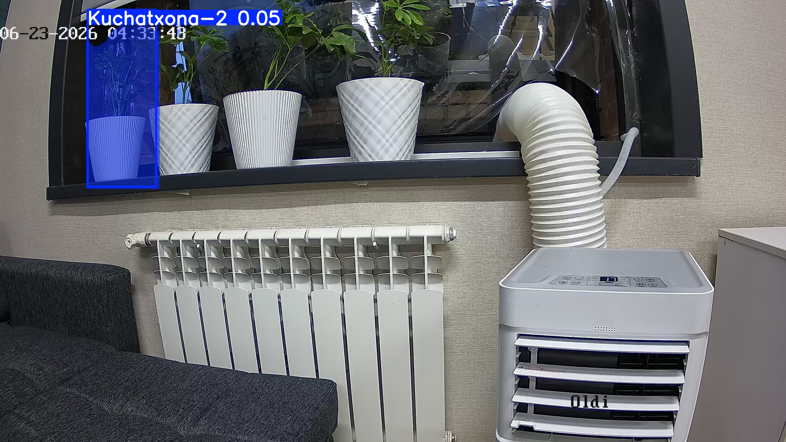 seedling_2026-06-23_04-34-01.jpg