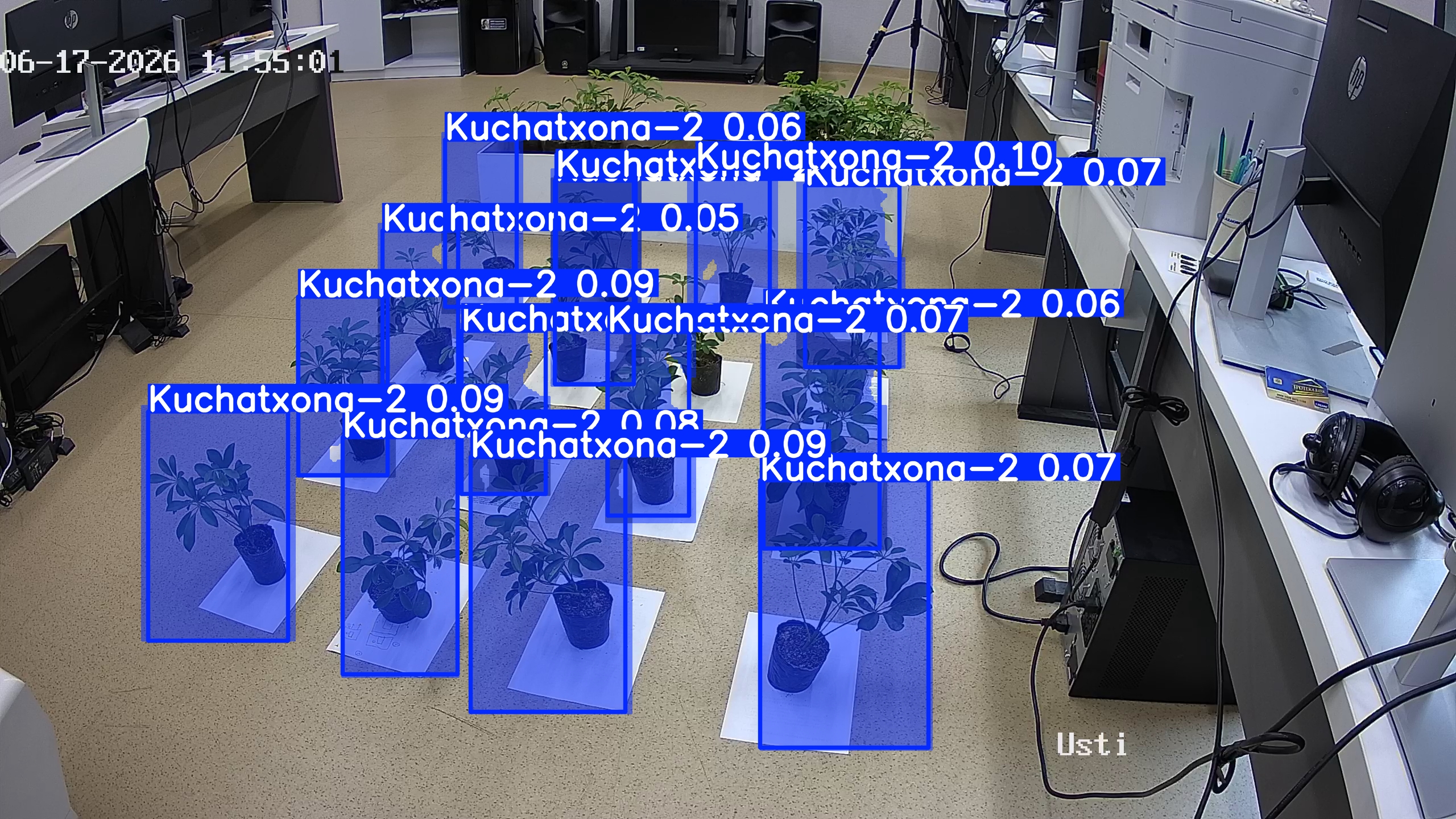 seedling_2026-06-17_11-55-50.jpg
