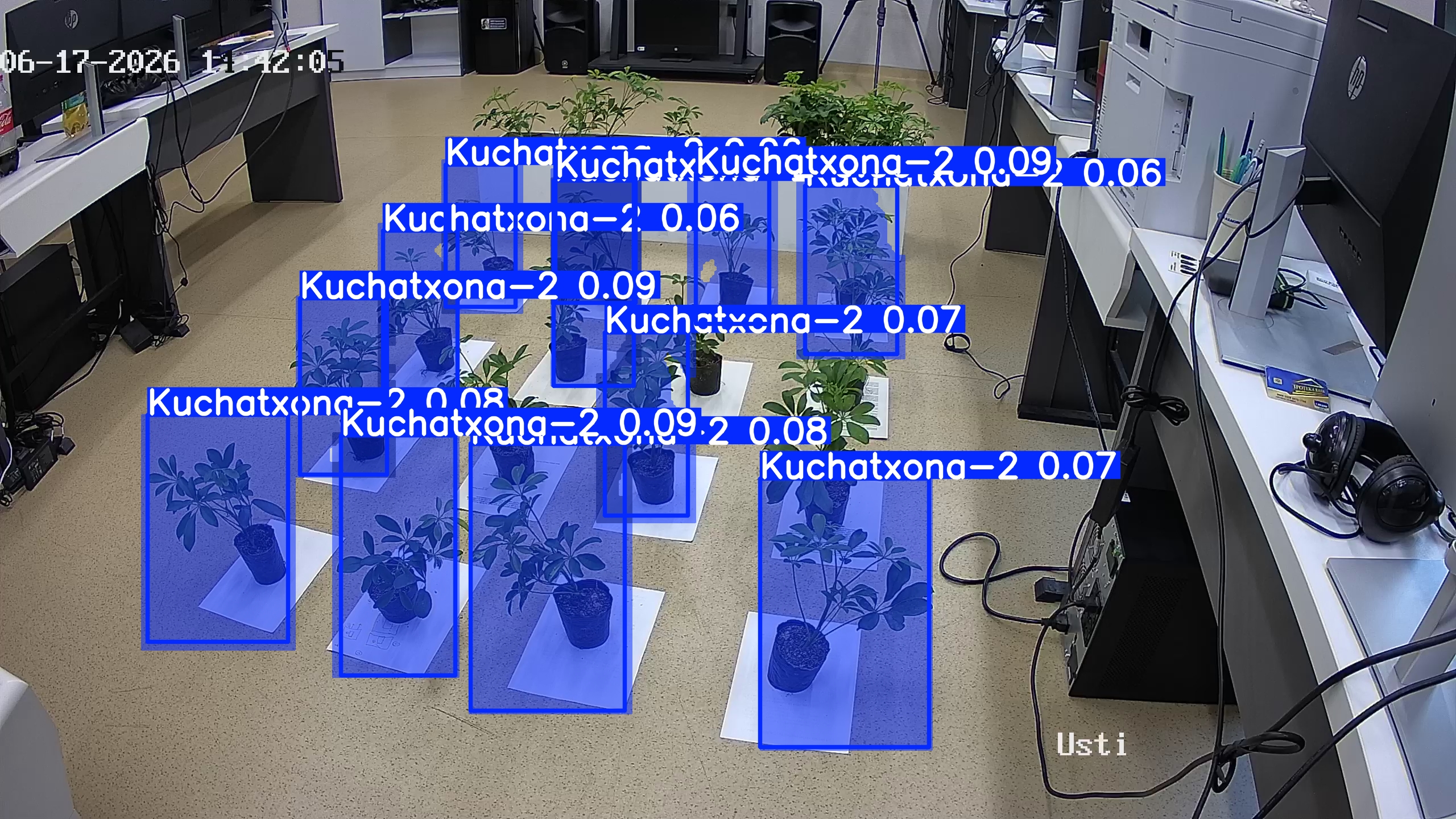 seedling_2026-06-17_14-42-16.jpg